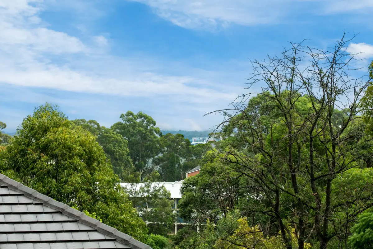 602/8 Freeman Road, Chatswood Sold by Shead Property - image 1