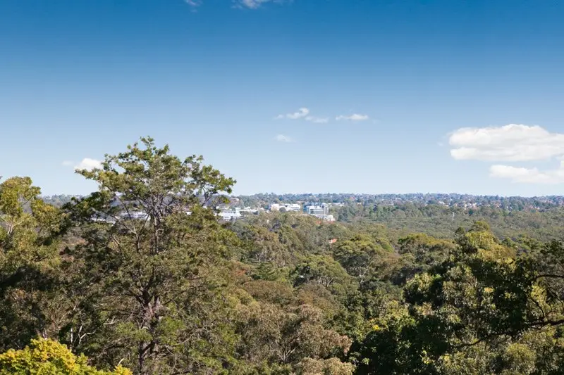 814 Pacific Highway, Chatswood Sold by Shead Property - image 1