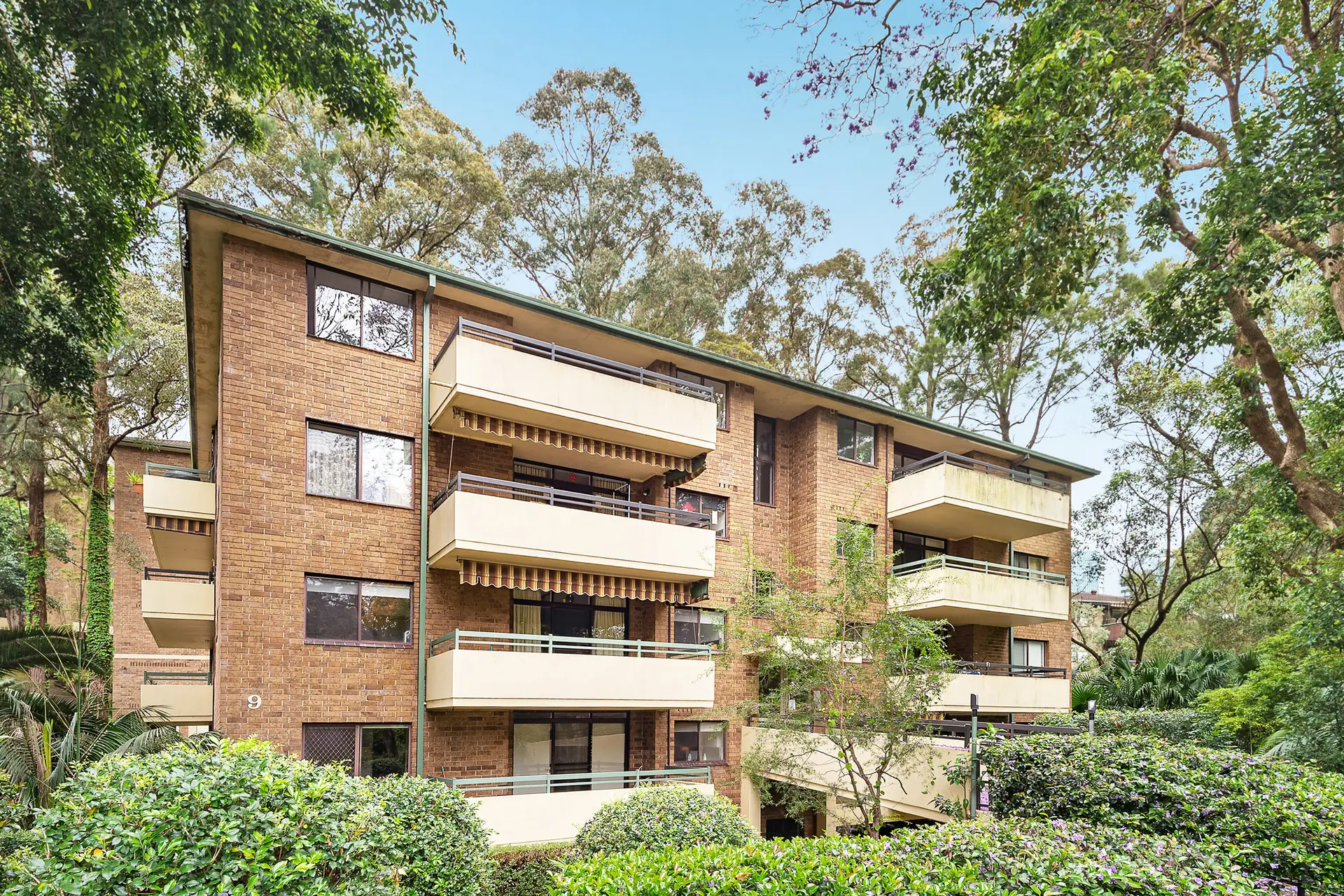 36/9 Hotham Street, Chatswood Sold by Shead Property - image 1
