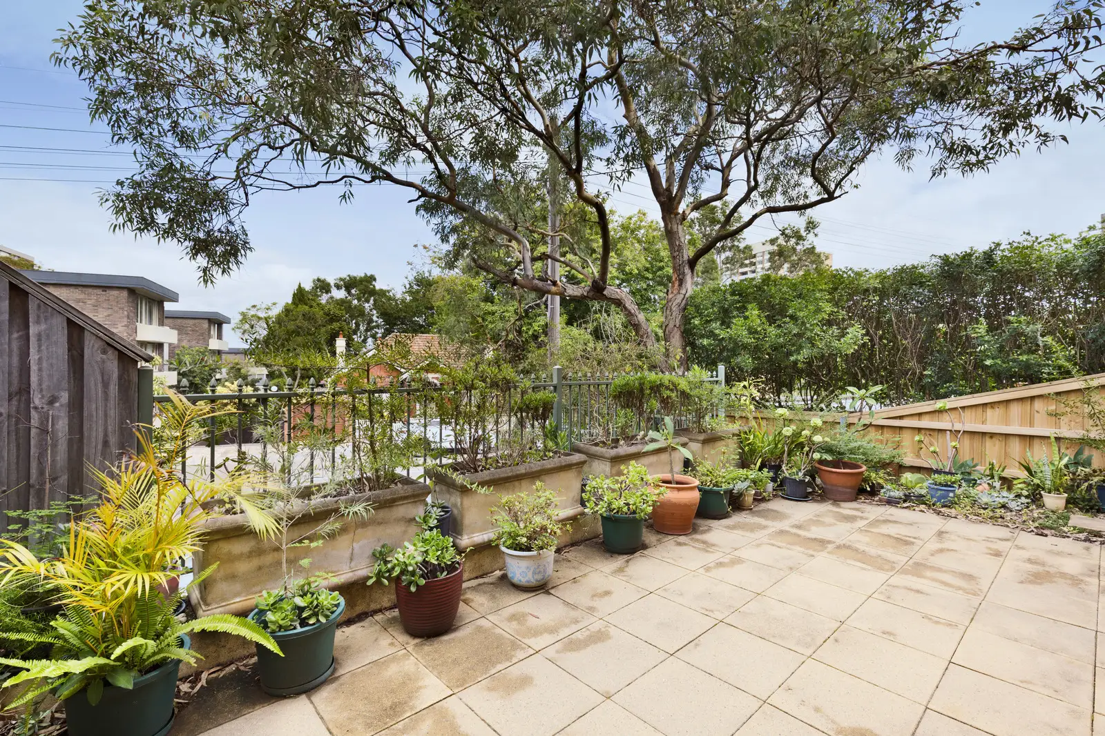 45A Carr Street, Waverton Sold by Shead Property - image 1