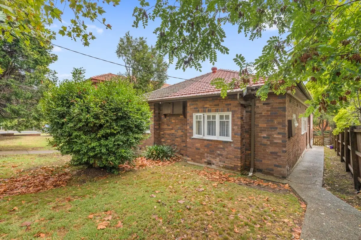 243 Victoria Avenue, Chatswood Sold by Shead Property - image 1