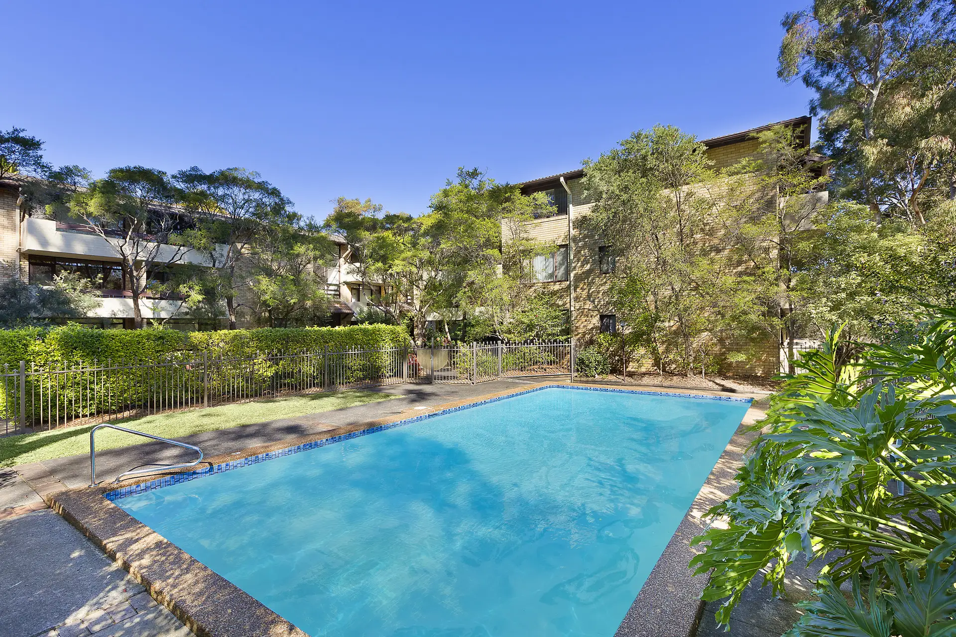 29/6 Buller Road, Artarmon Sold by Shead Property - image 1