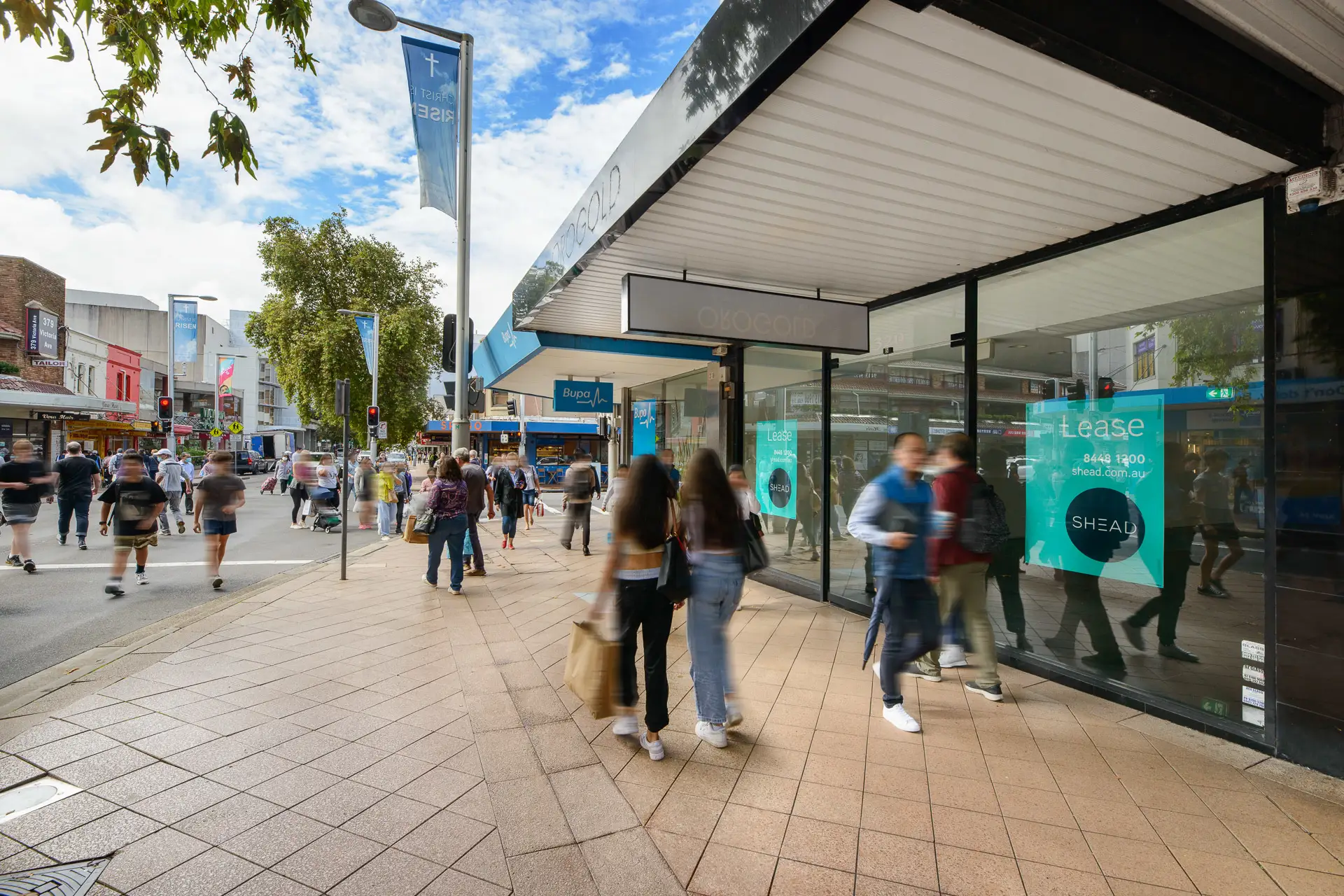 Chatswood Leased by Shead Property - image 1