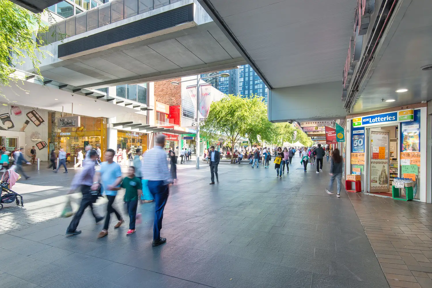 Chatswood For Lease by Shead Property - image 1