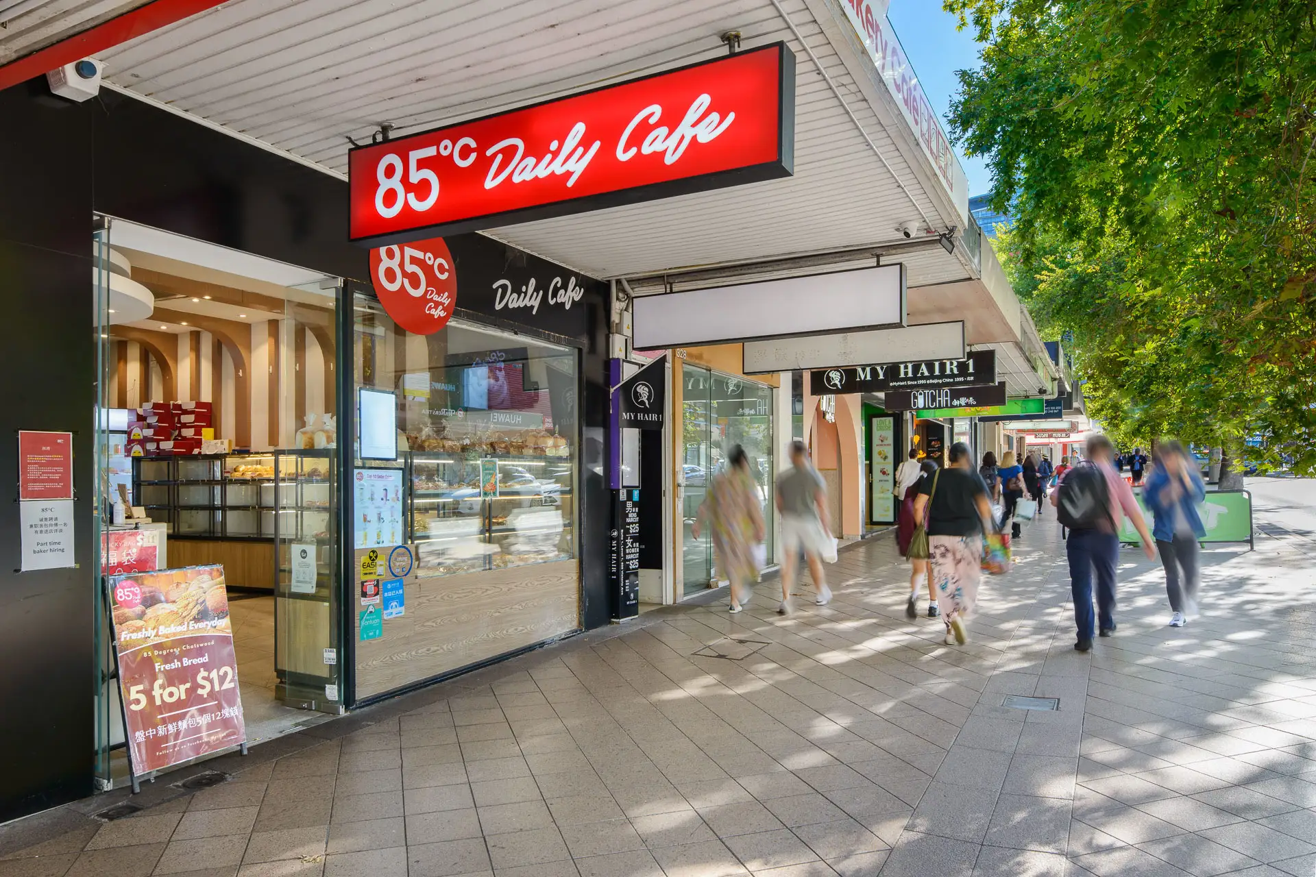 Chatswood Leased by Shead Property - image 1