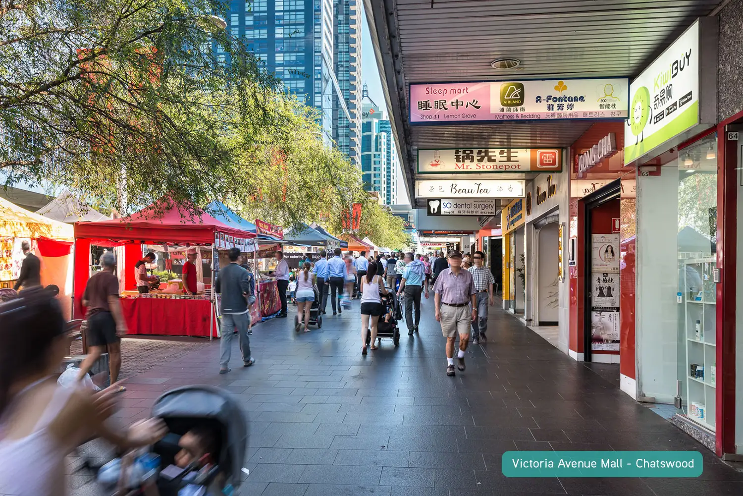 Chatswood Leased by Shead Property - image 1