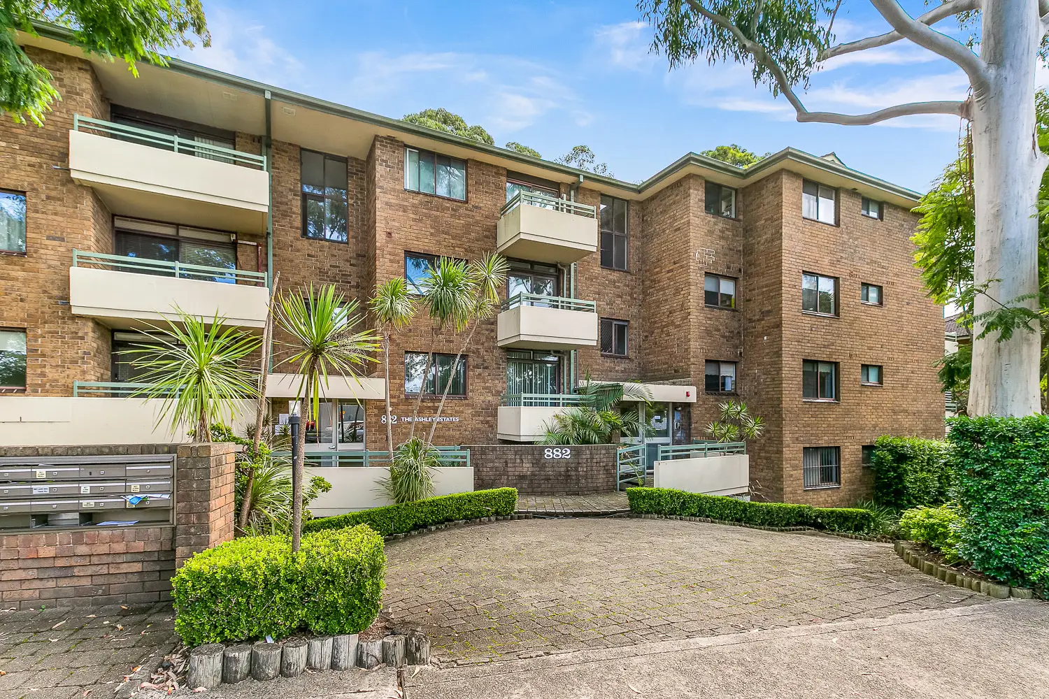 Chatswood Leased by Shead Property - image 1