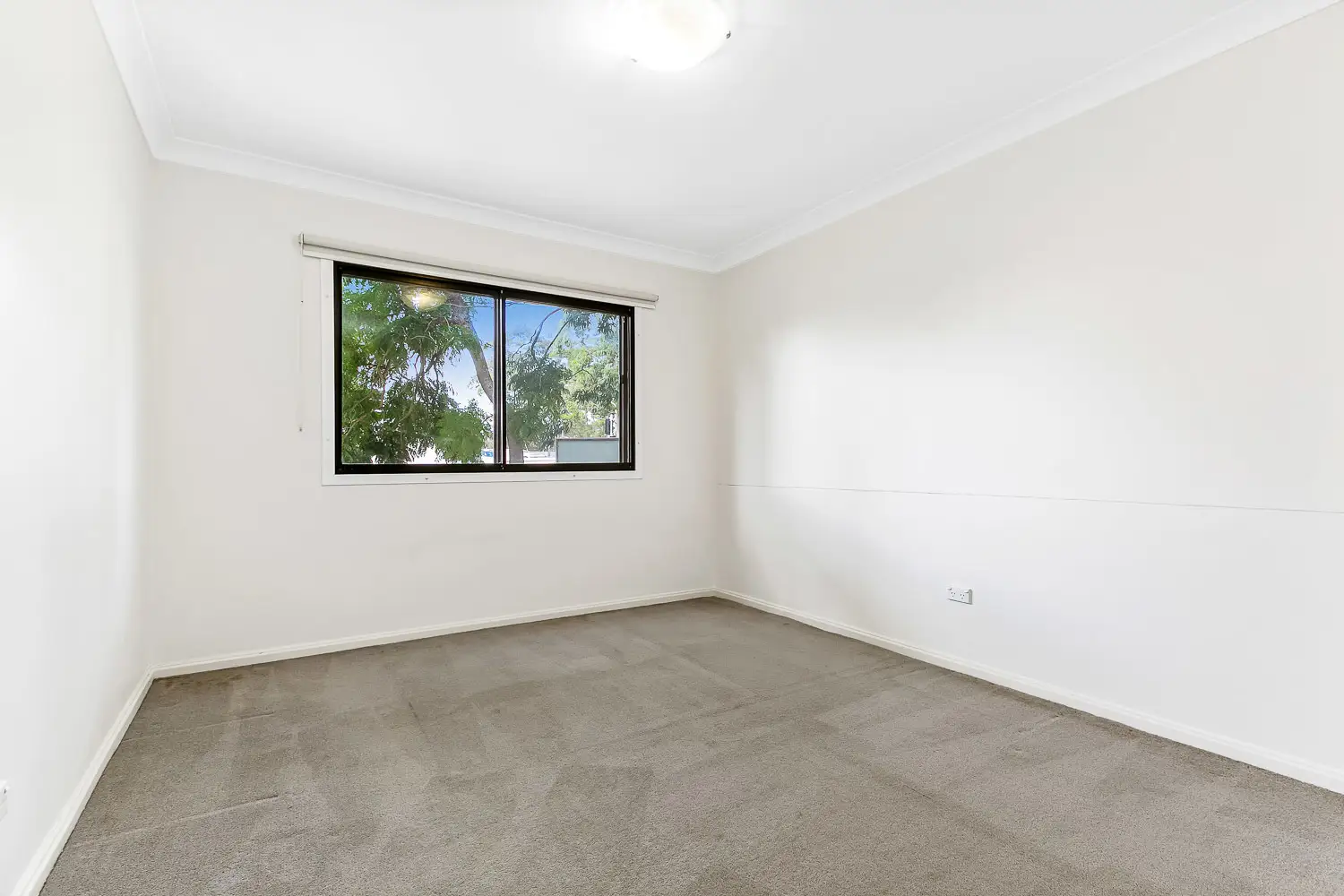 Chatswood Leased by Shead Property - image 1