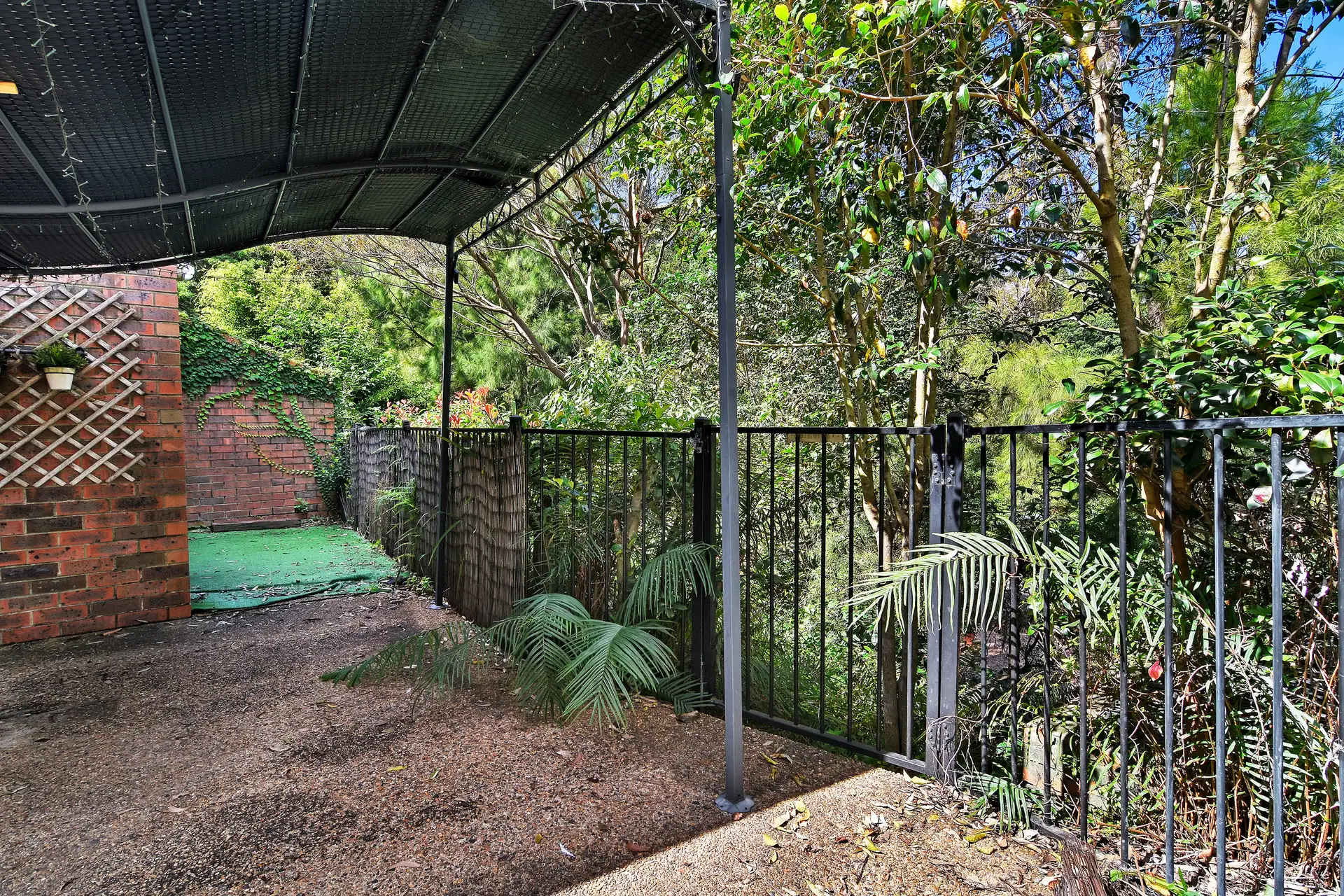 Neutral Bay Leased by Shead Property - image 1