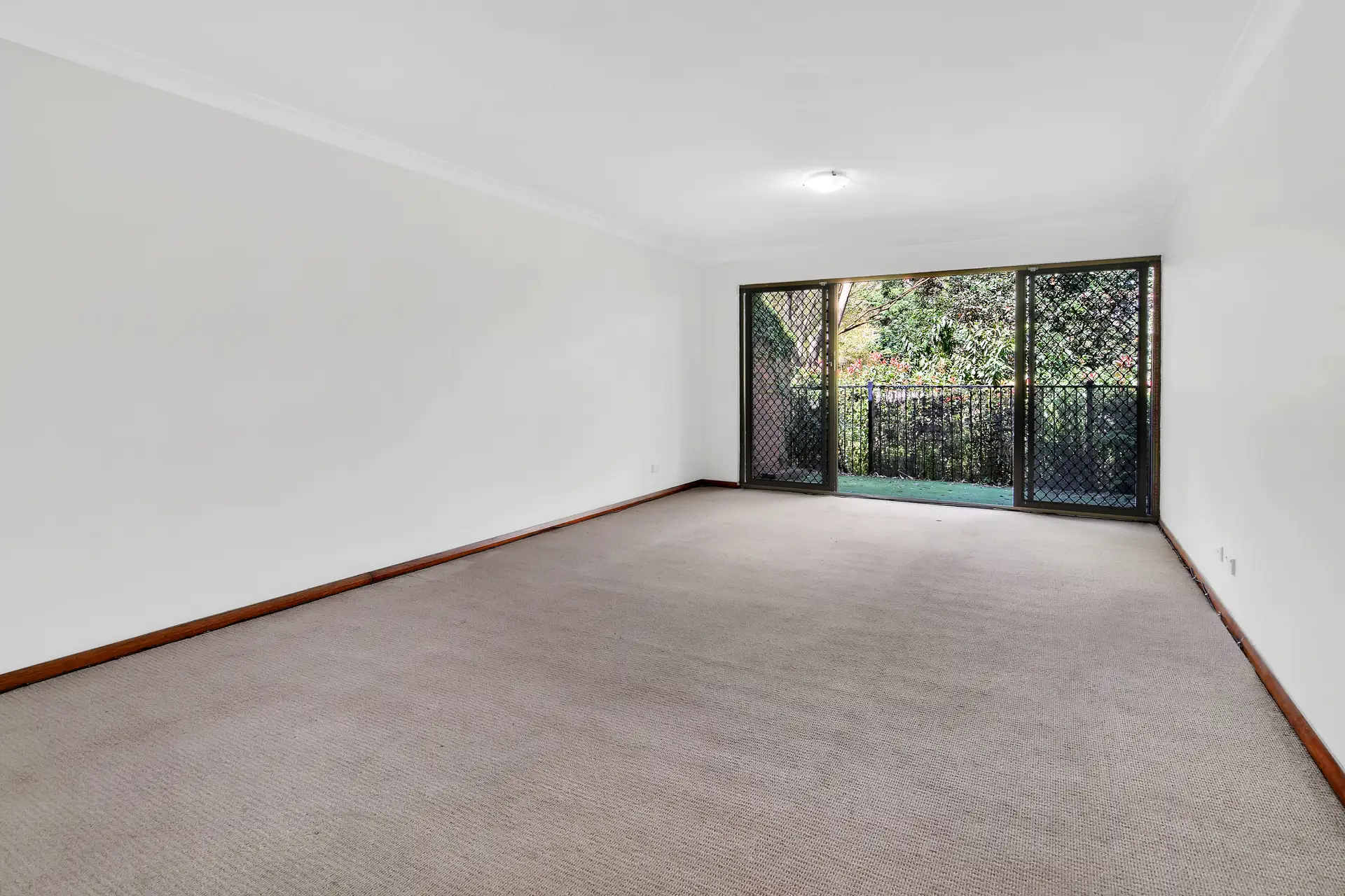 Neutral Bay Leased by Shead Property - image 1