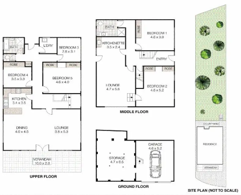 Chatswood Leased by Shead Property - image 1