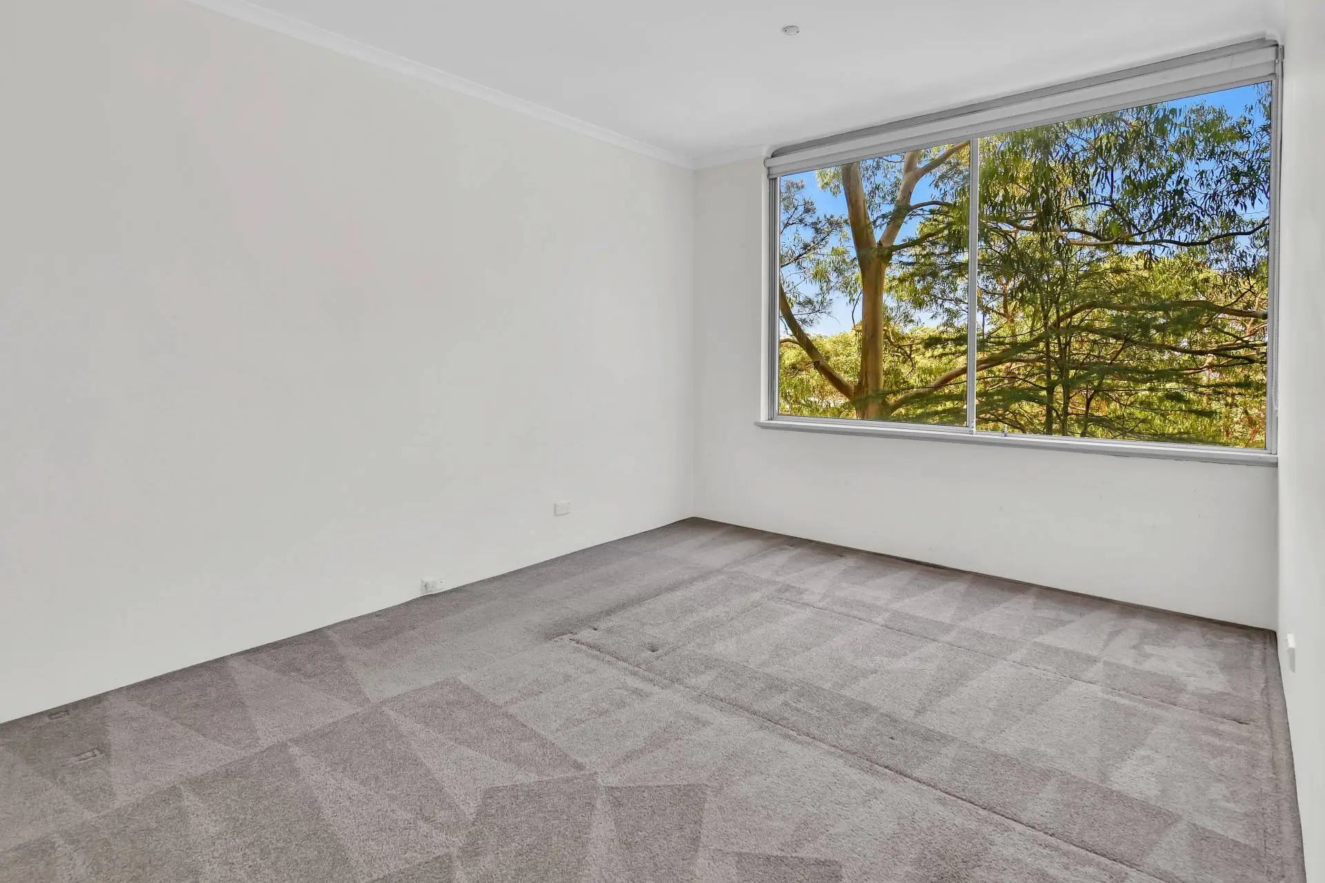 Artarmon Leased by Shead Property - image 1