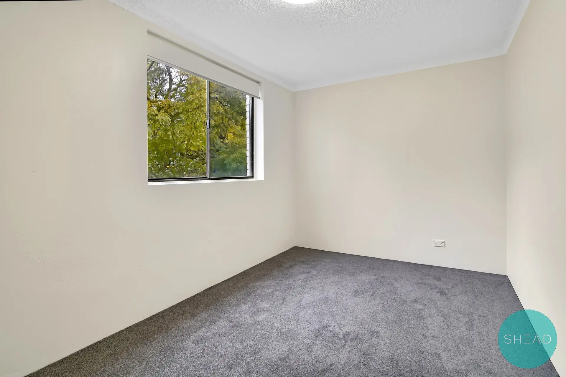 Chatswood Leased by Shead Property - image 1