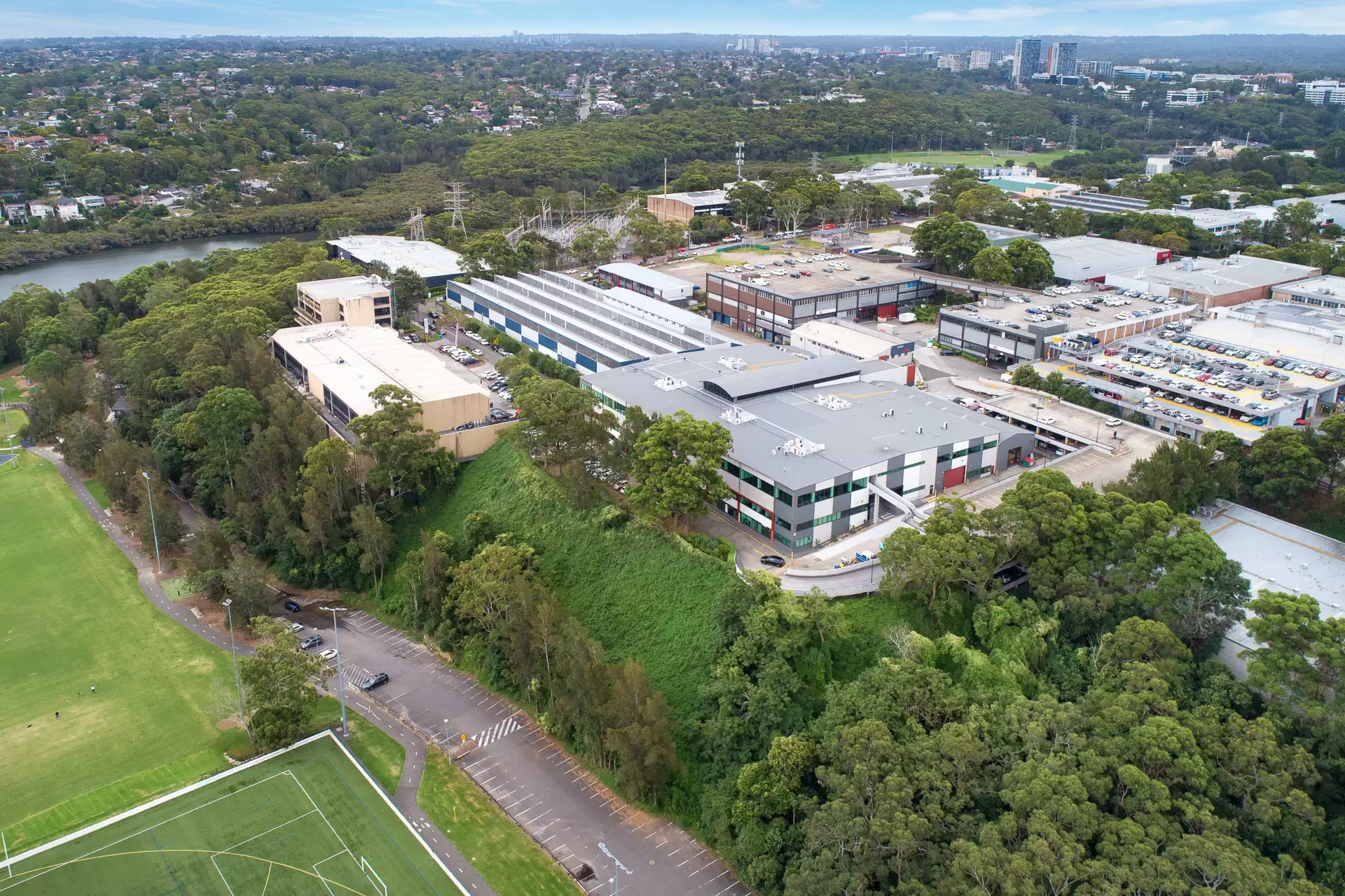 16 Mars Road, Lane Cove For Lease by Shead Property - image 1