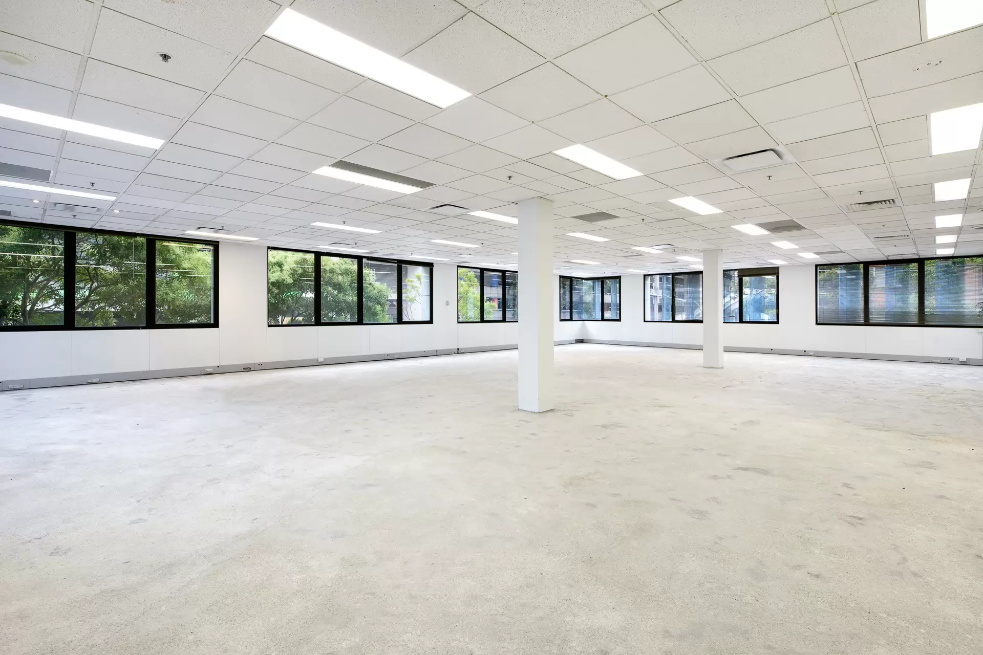 Chatswood Leased by Shead Property - image 1