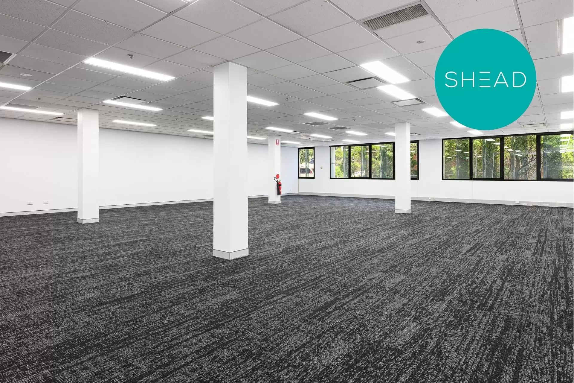 Chatswood Leased by Shead Property - image 1