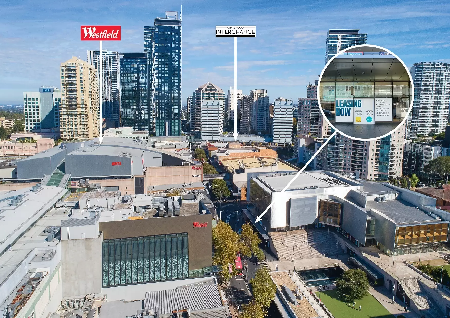 Chatswood Leased by Shead Property - image 1