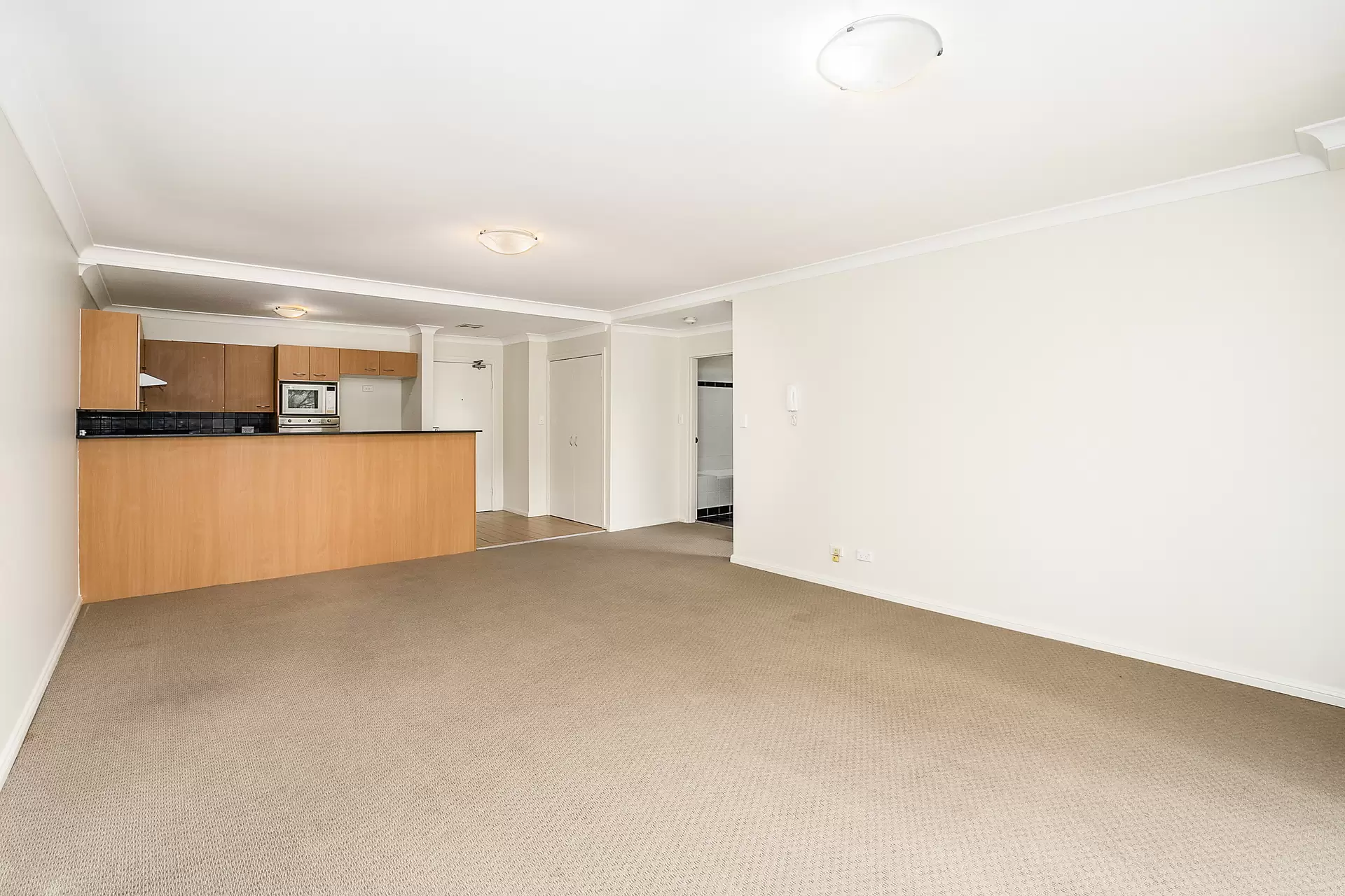 Chatswood Leased by Shead Property - image 1