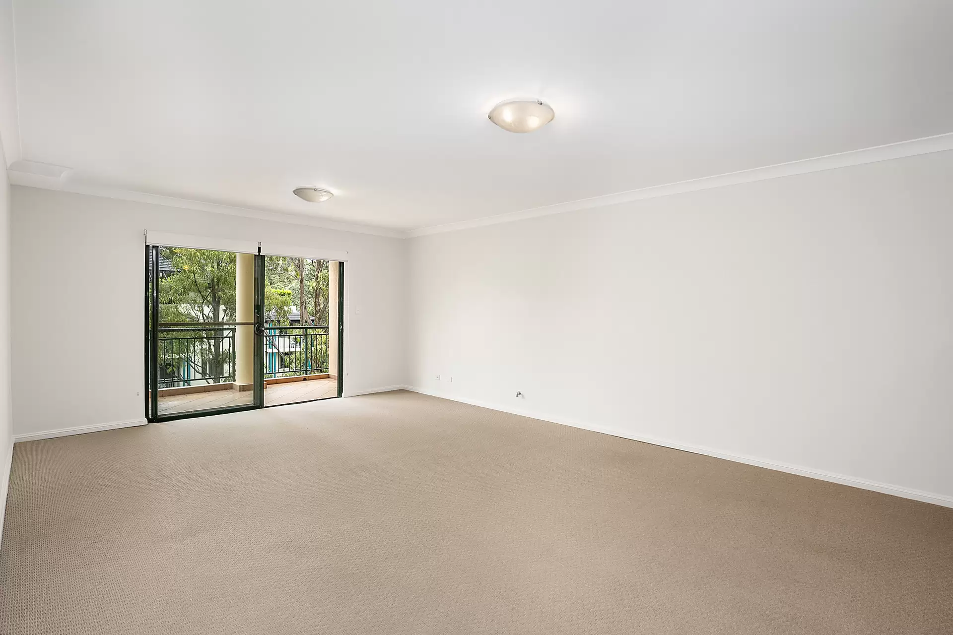 Chatswood Leased by Shead Property - image 1