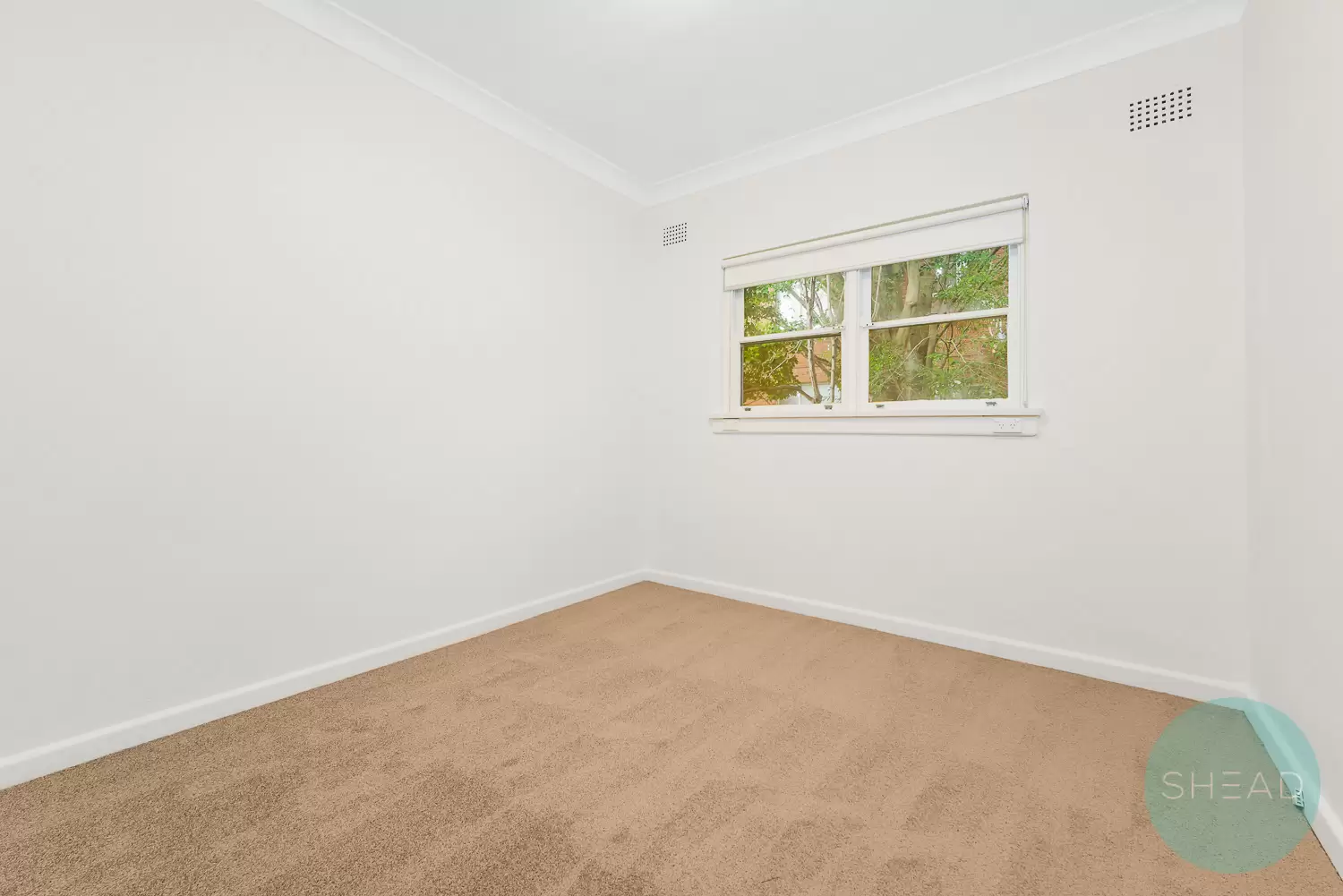 Chatswood Leased by Shead Property - image 1