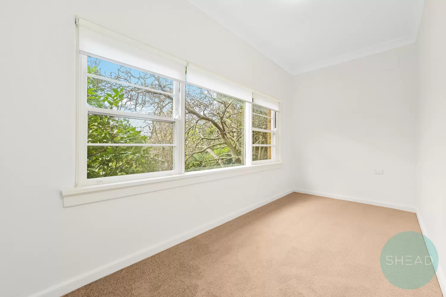 Chatswood Leased by Shead Property - image 1