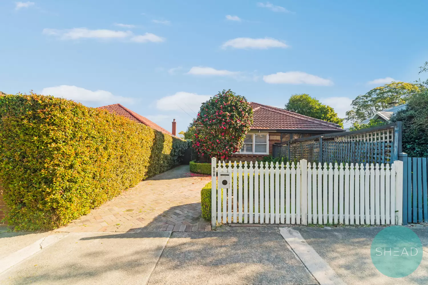 Willoughby Leased by Shead Property - image 1