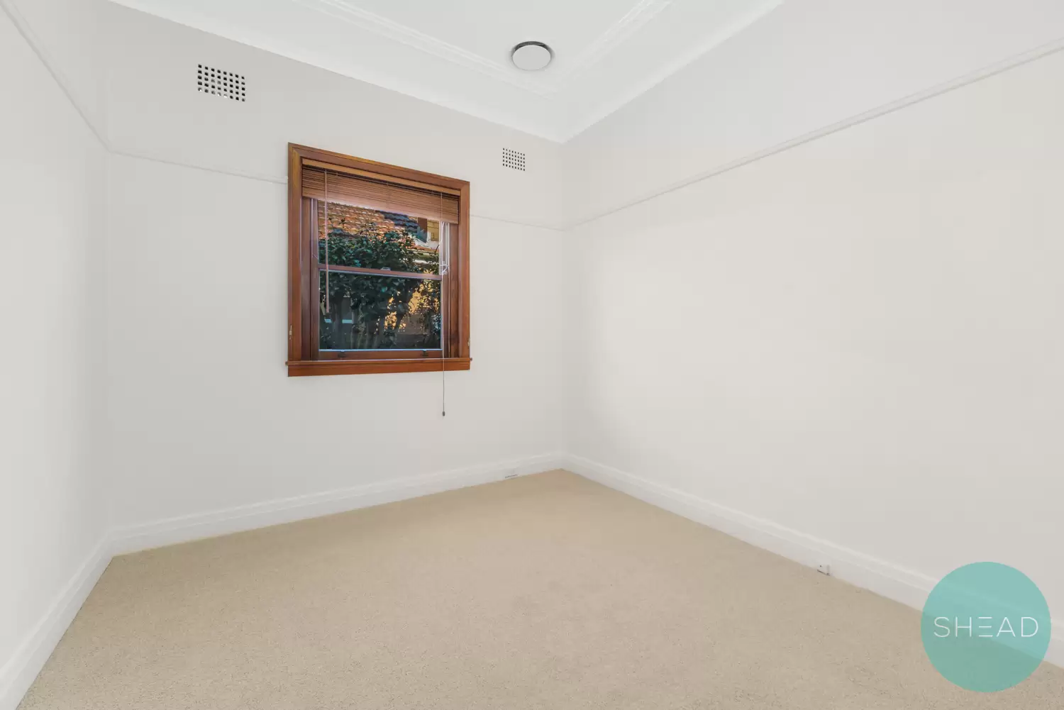 Willoughby Leased by Shead Property - image 1