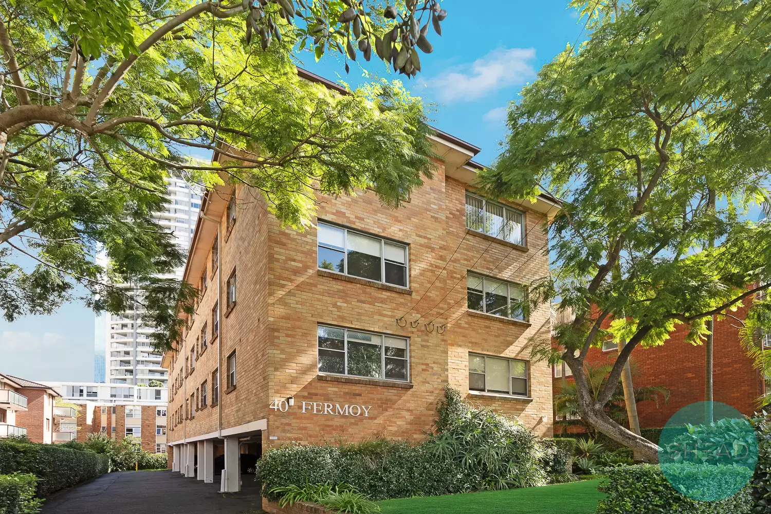 Chatswood Leased by Shead Property - image 1