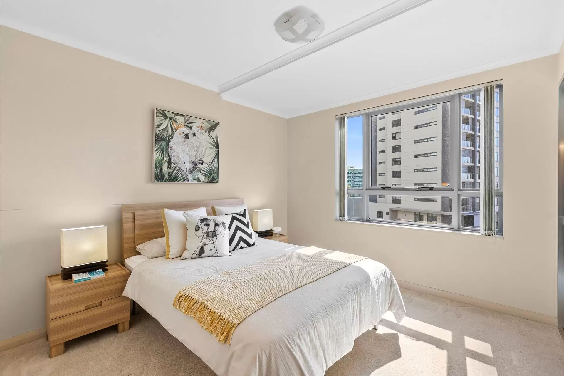 819/2A Help Street, Chatswood Sold by Shead Property - image 1