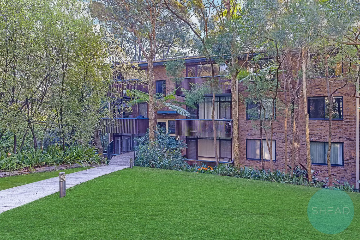 Chatswood Leased by Shead Property - image 1