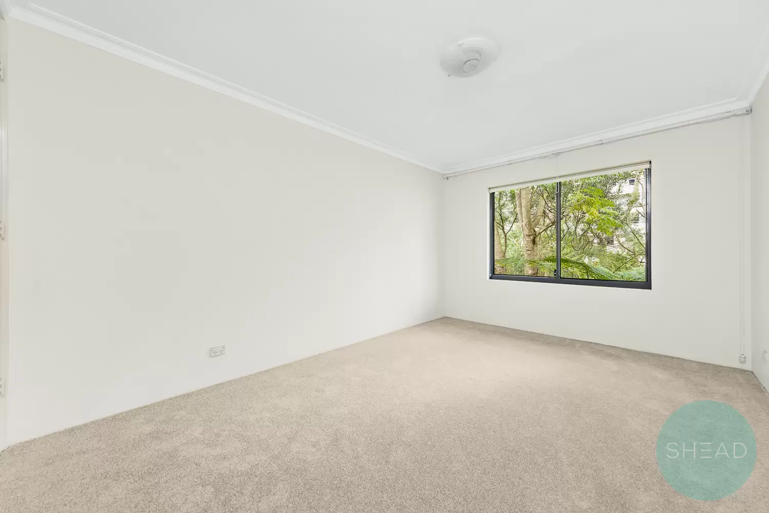 Chatswood Leased by Shead Property - image 1