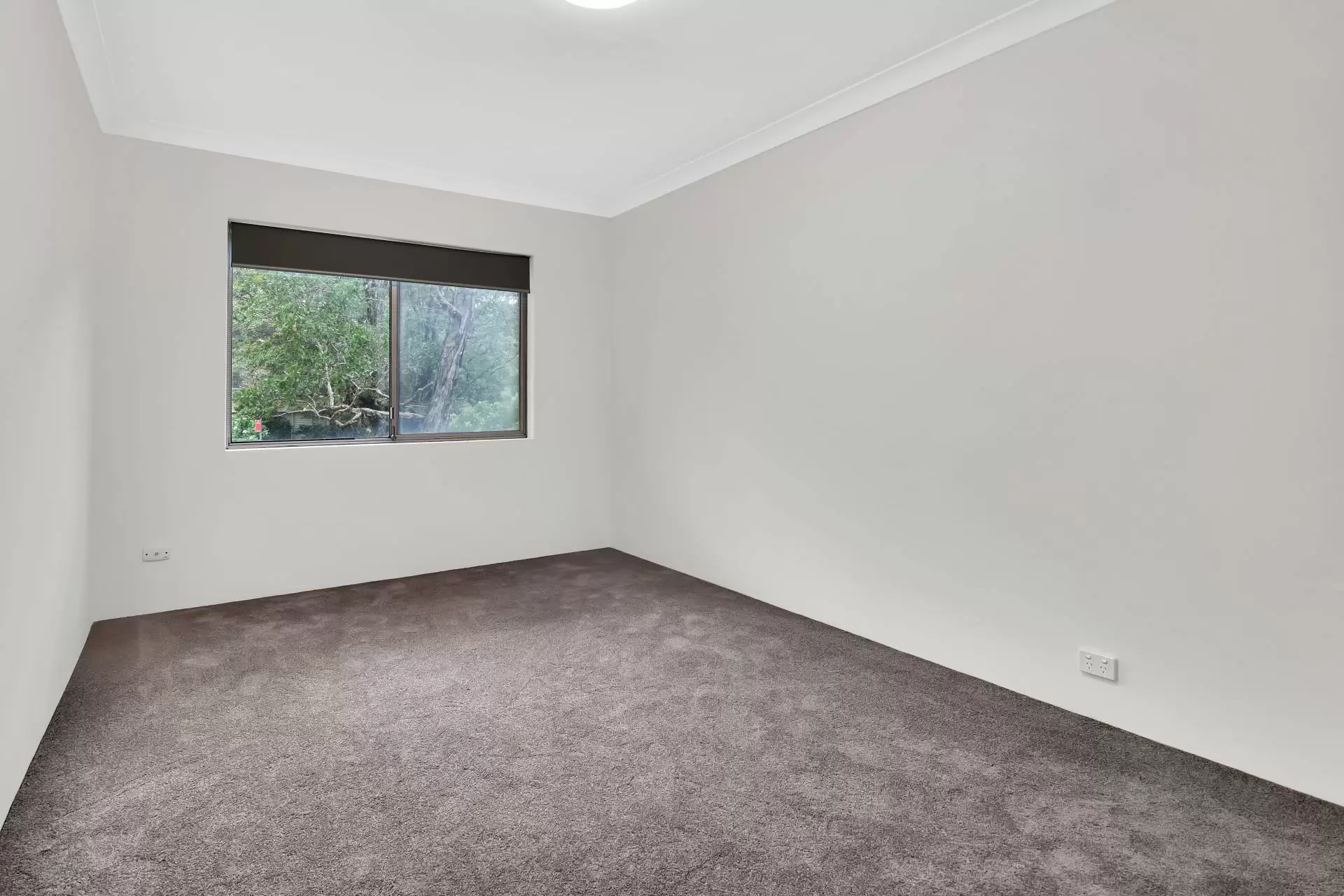 Artarmon Leased by Shead Property - image 1