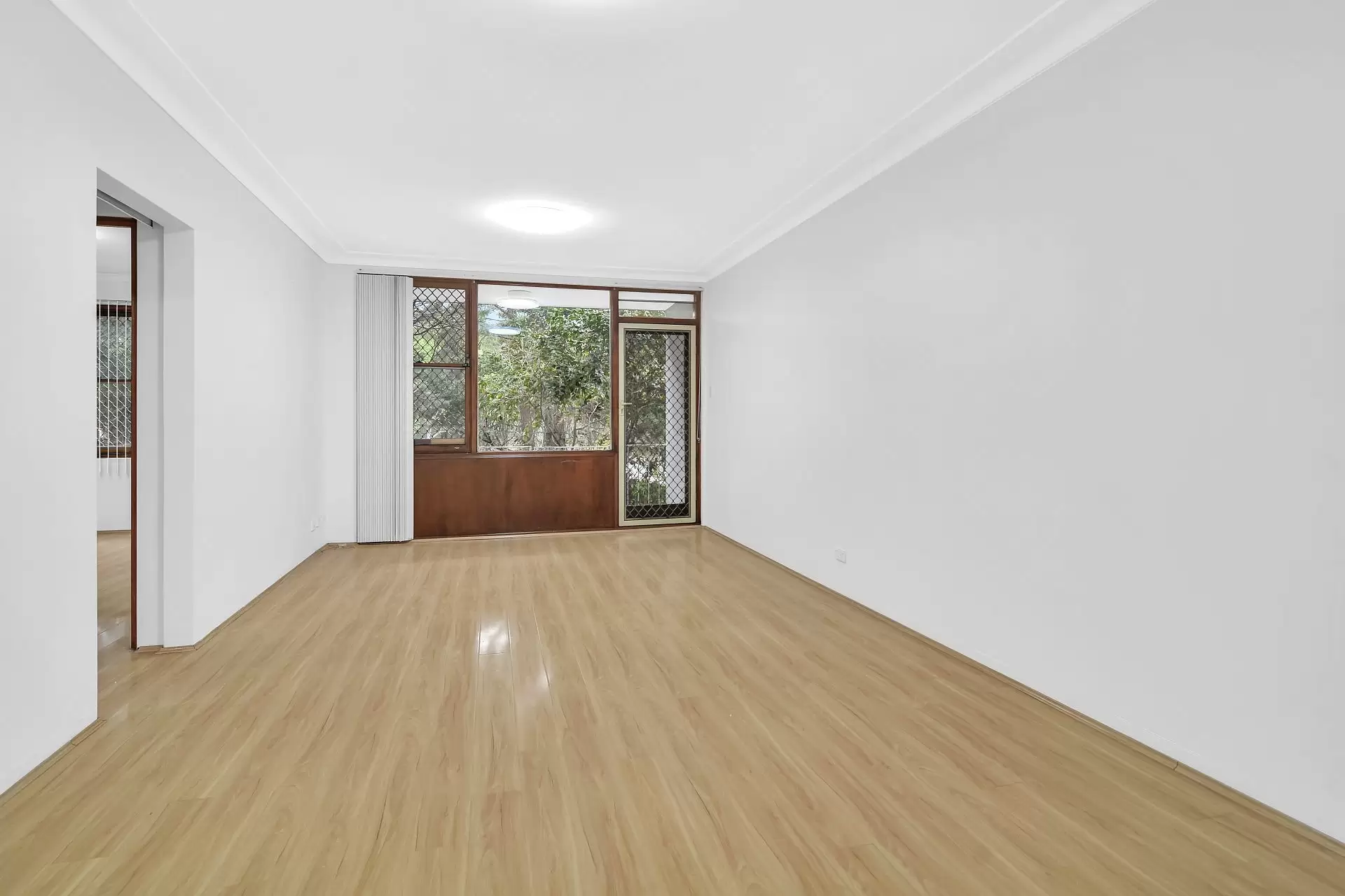 Chatswood Leased by Shead Property - image 1