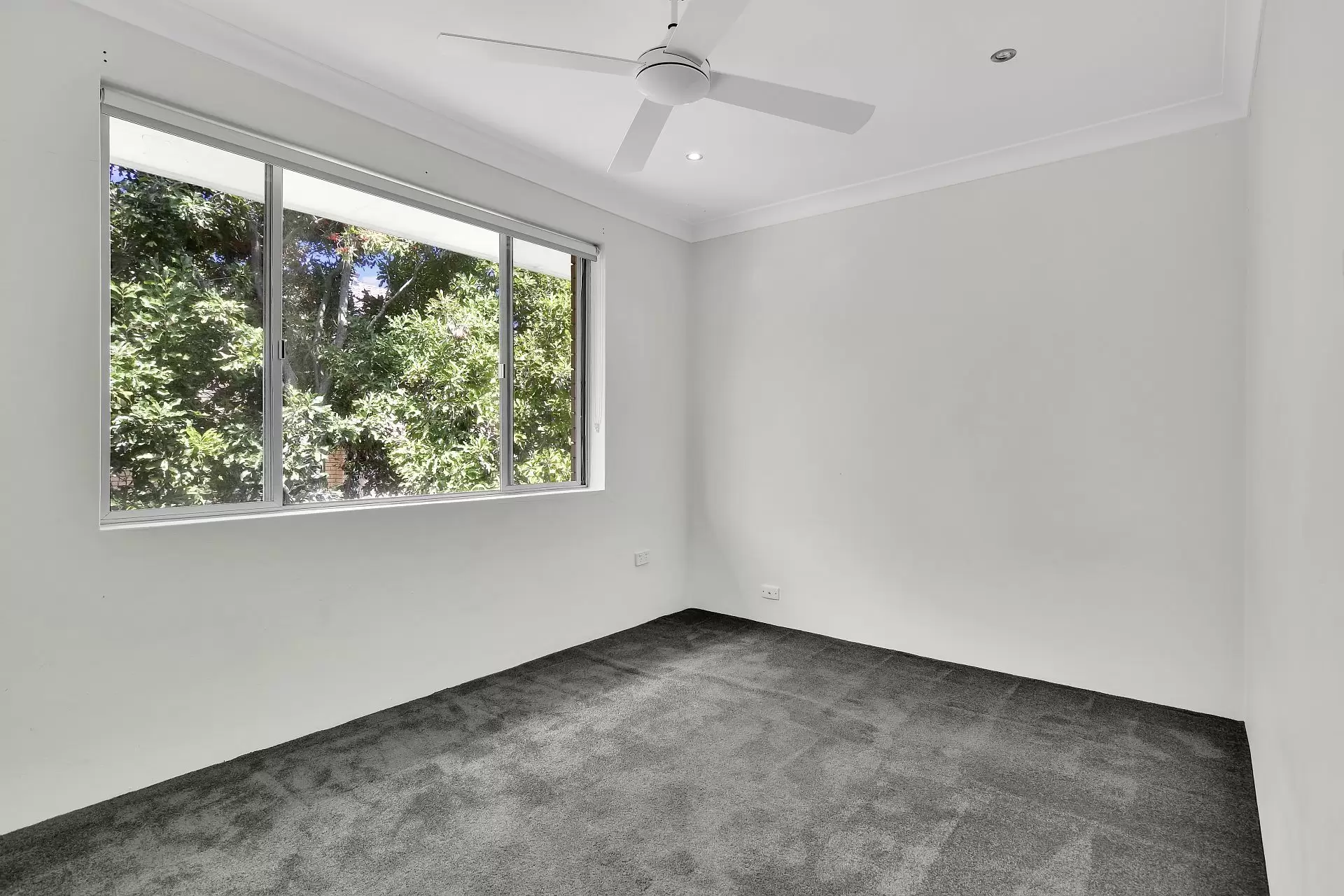 Willoughby Leased by Shead Property - image 1