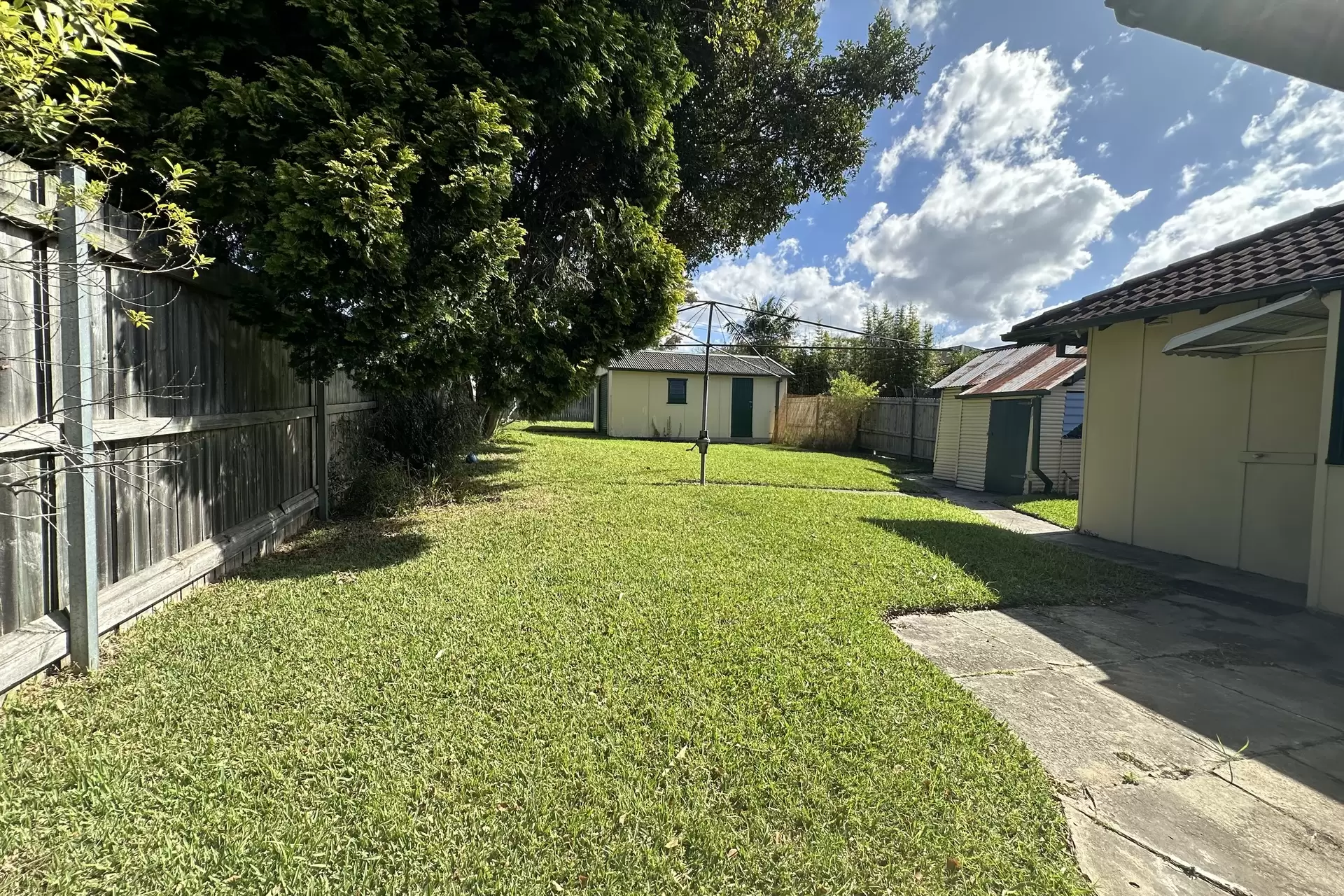 Willoughby Leased by Shead Property - image 1