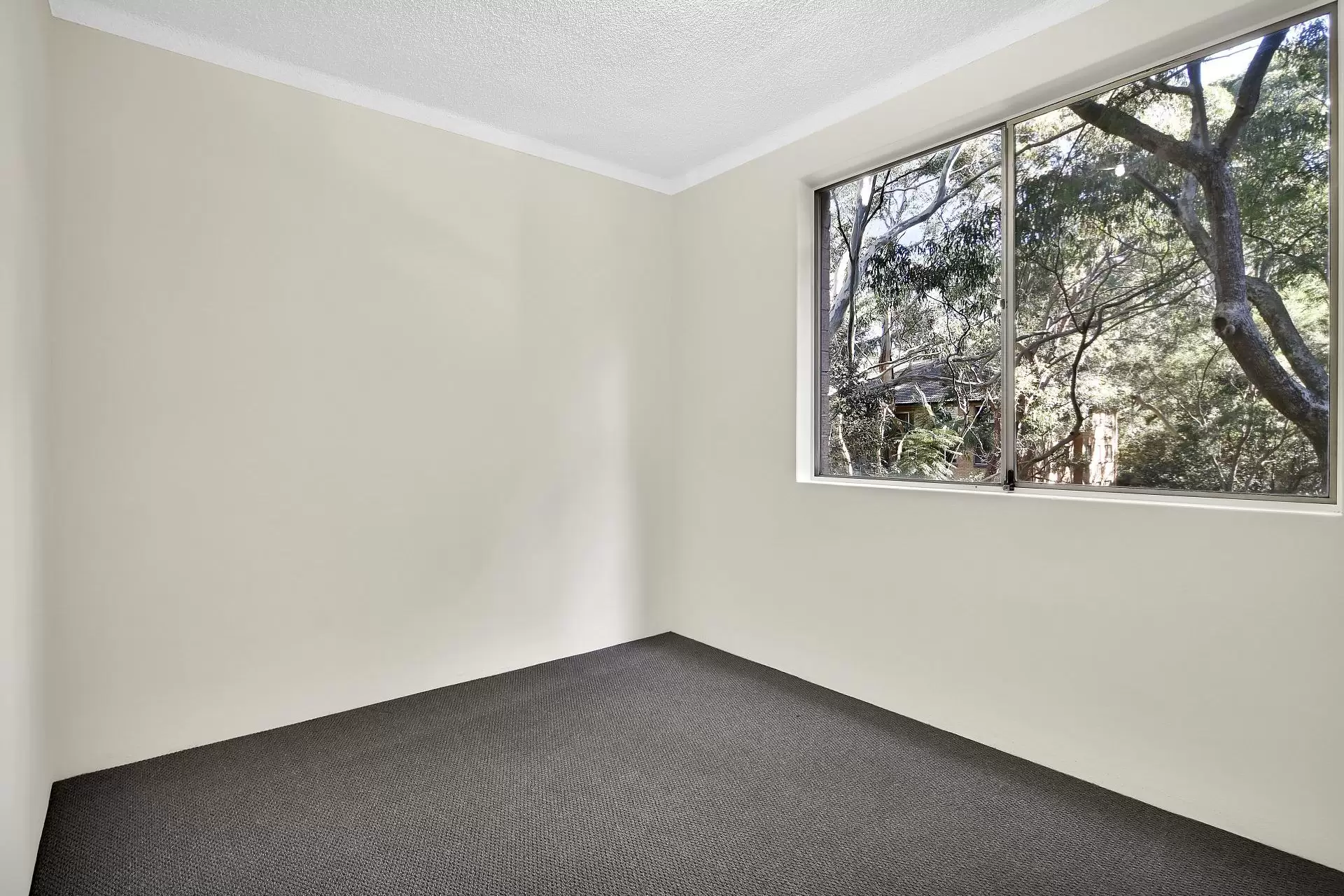 Lane Cove Leased by Shead Property - image 1