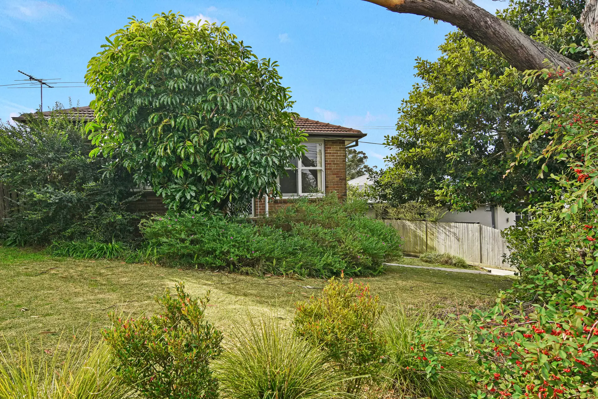 Frenchs Forest Leased by Shead Property - image 1