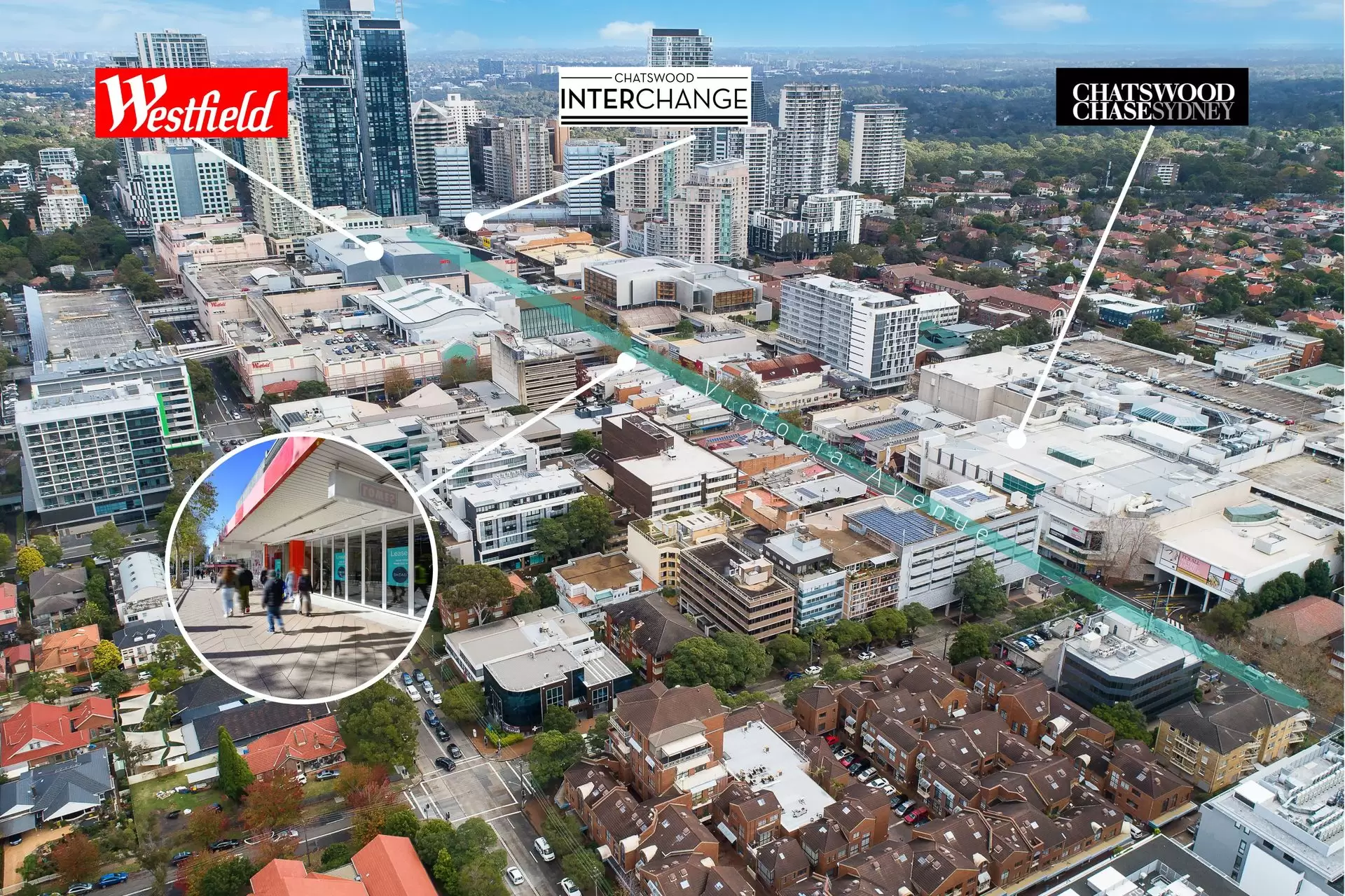 Chatswood Leased by Shead Property - image 1