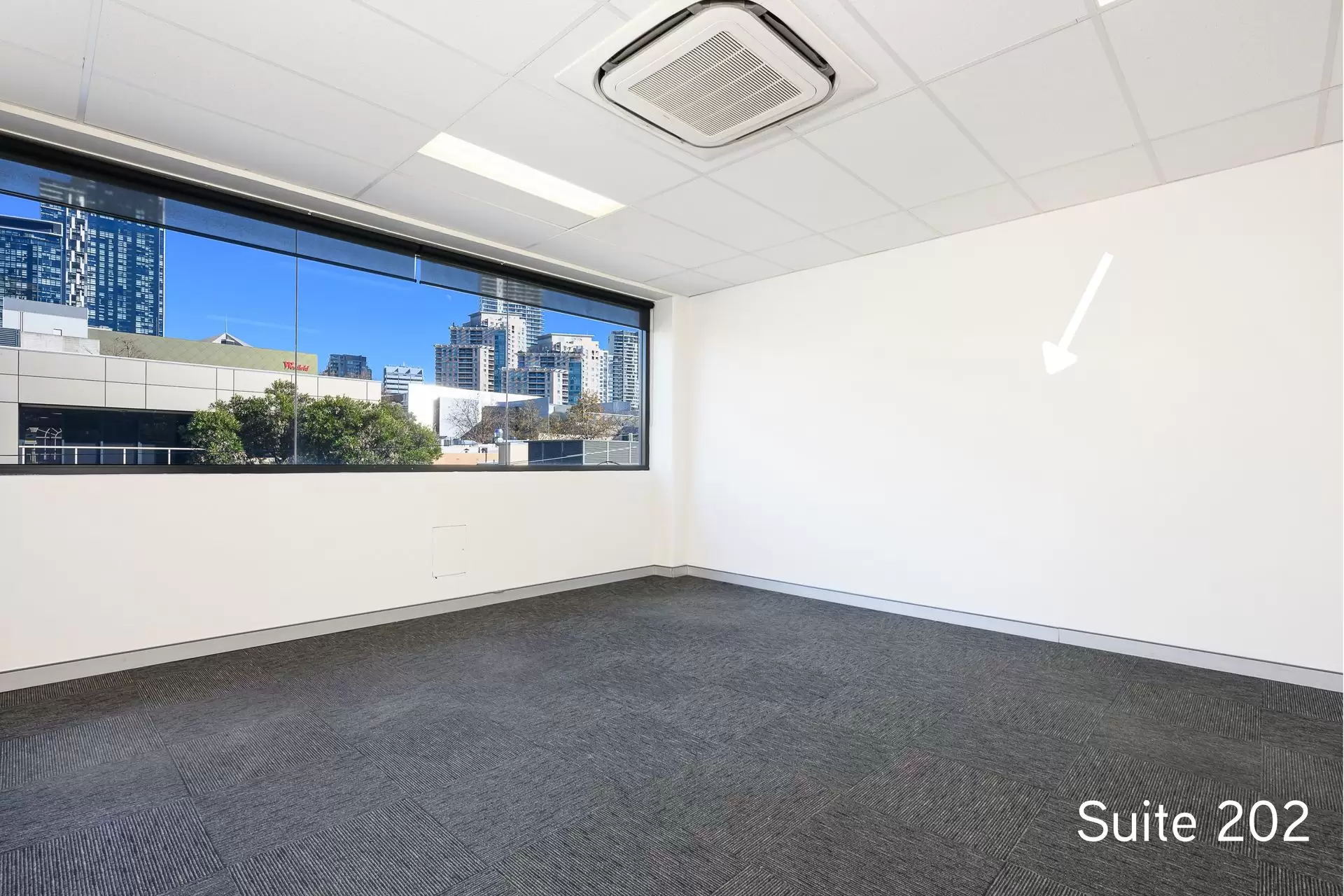 Suites/75 Archer Street, Chatswood For Lease by Shead Property - image 1