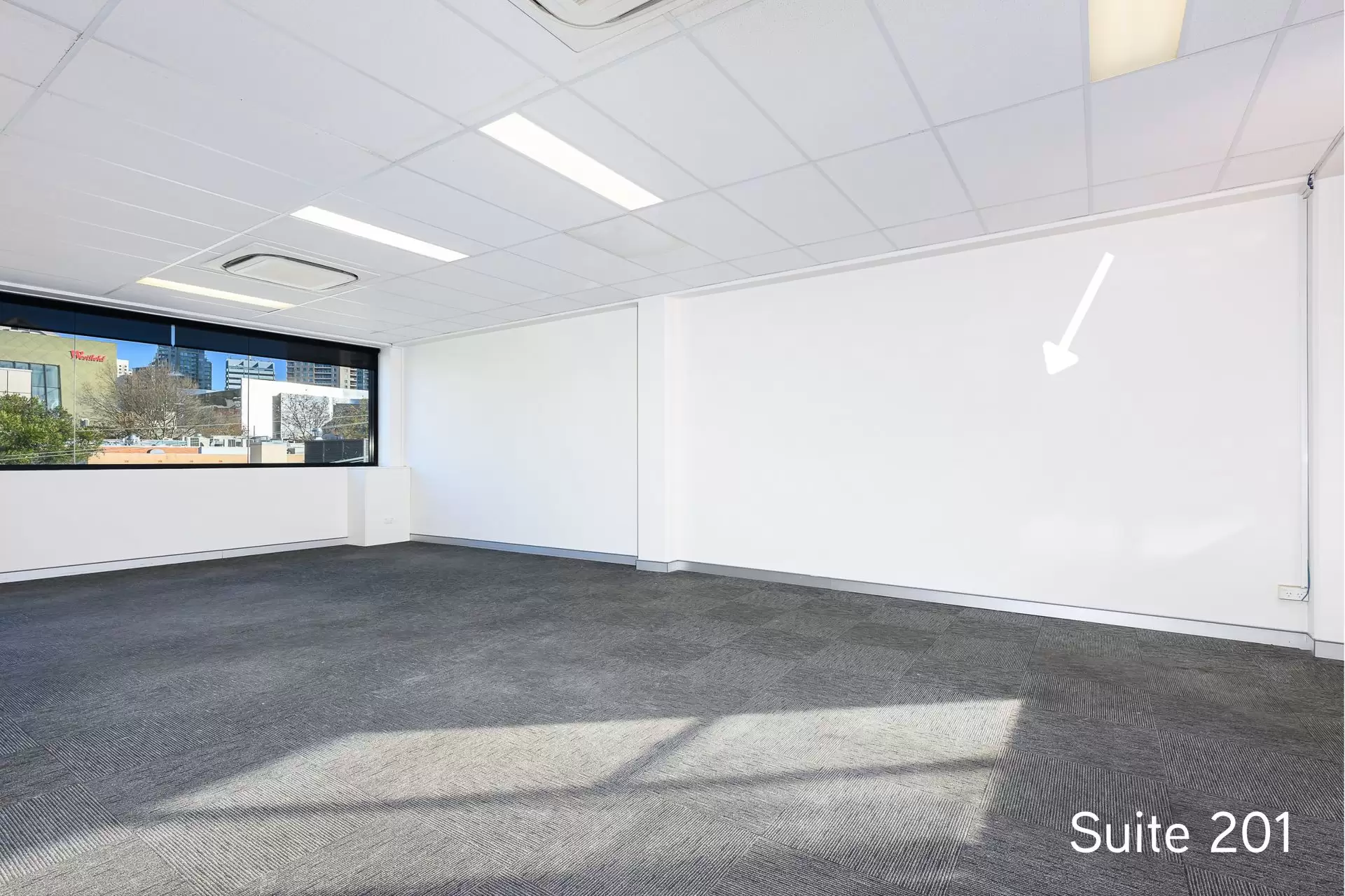 Suites/75 Archer Street, Chatswood For Lease by Shead Property - image 1