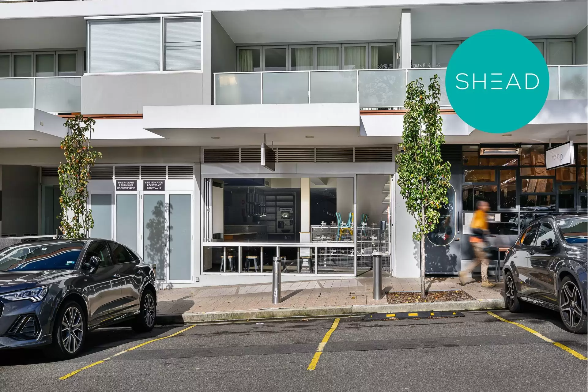 Neutral Bay Leased by Shead Property - image 1