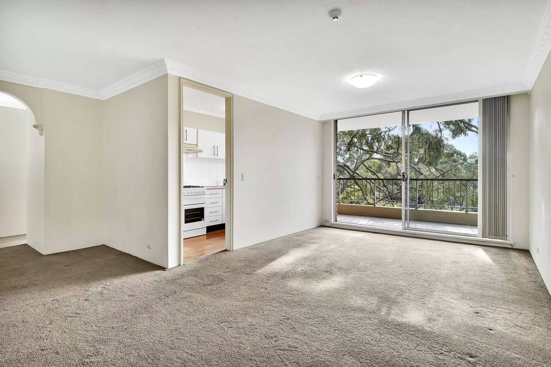 Artarmon Leased by Shead Property - image 1