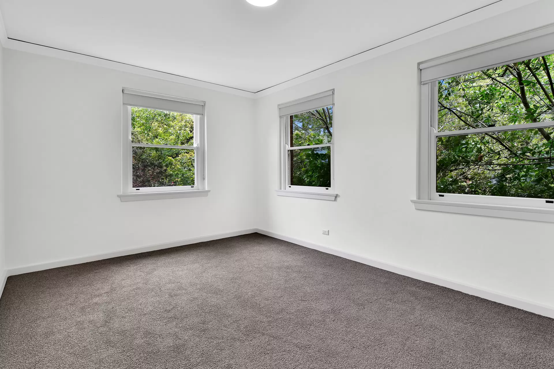 Chatswood Leased by Shead Property - image 1