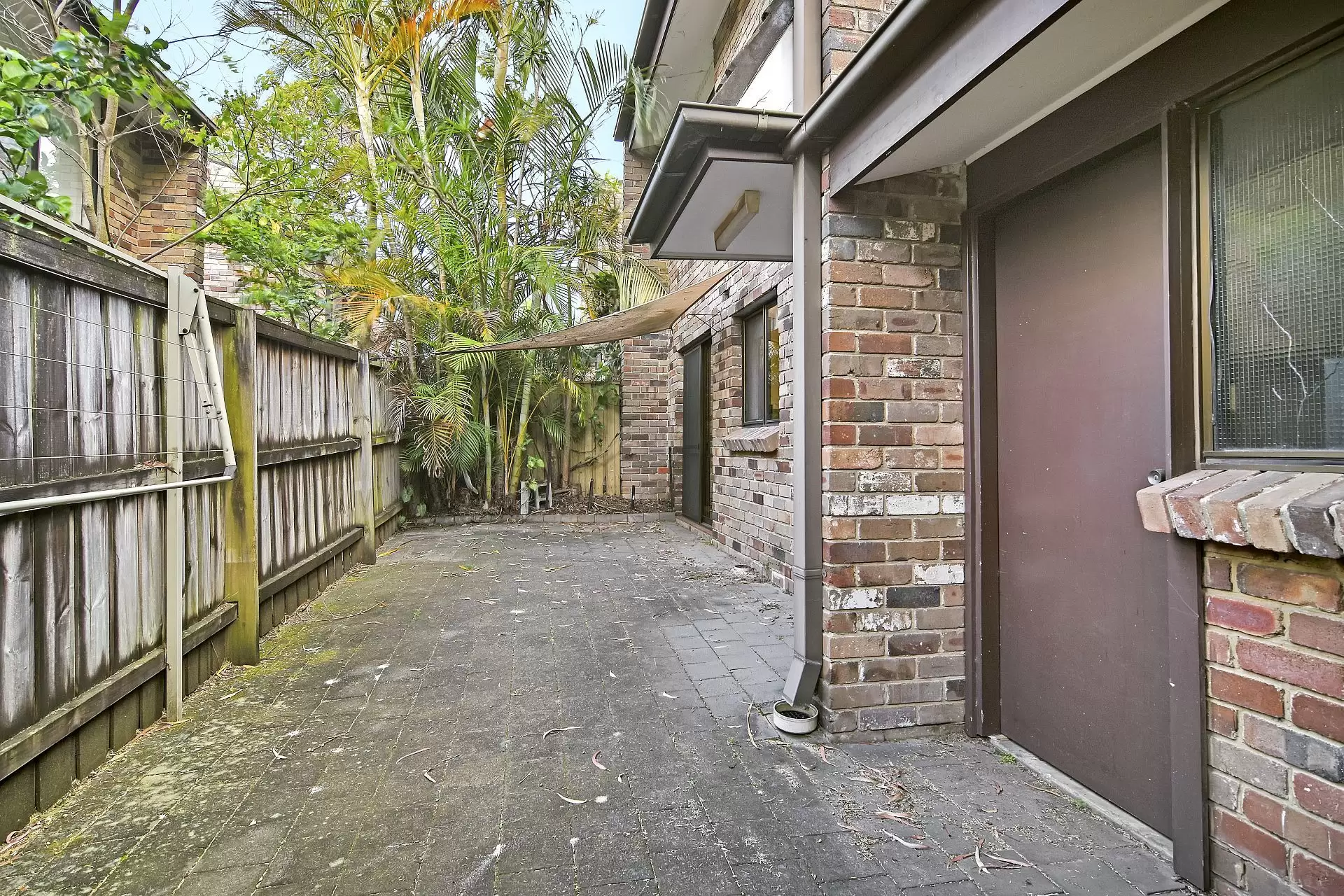 26 Gilpin Street, Camperdown For Lease by Shead Property - image 1