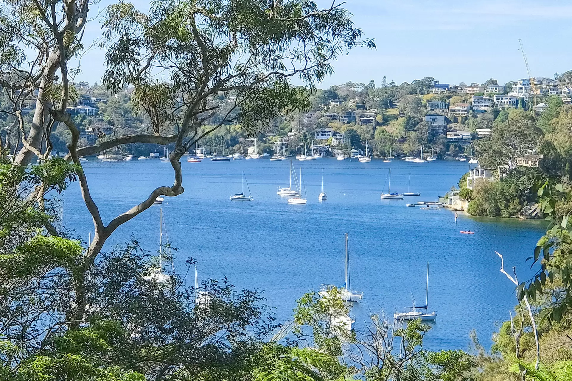 Castle Cove Leased by Shead Property - image 1