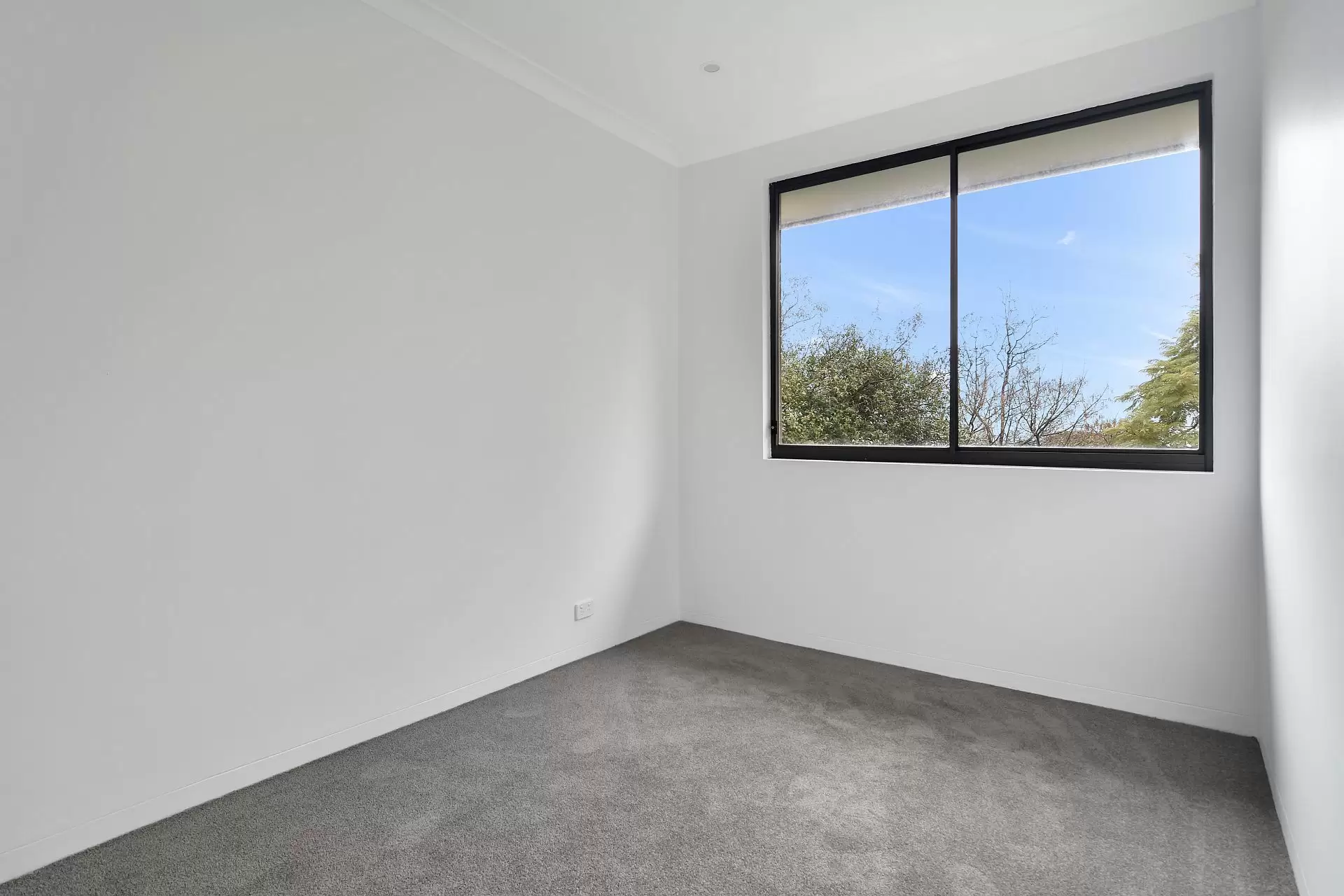 North Sydney Leased by Shead Property - image 1