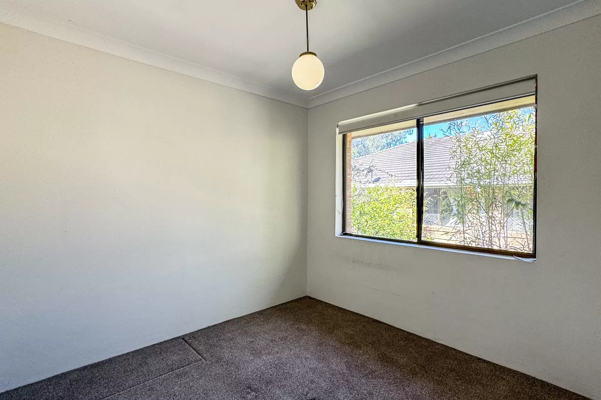 9/15 Milner Road, Artarmon For Lease by Shead Property - image 1