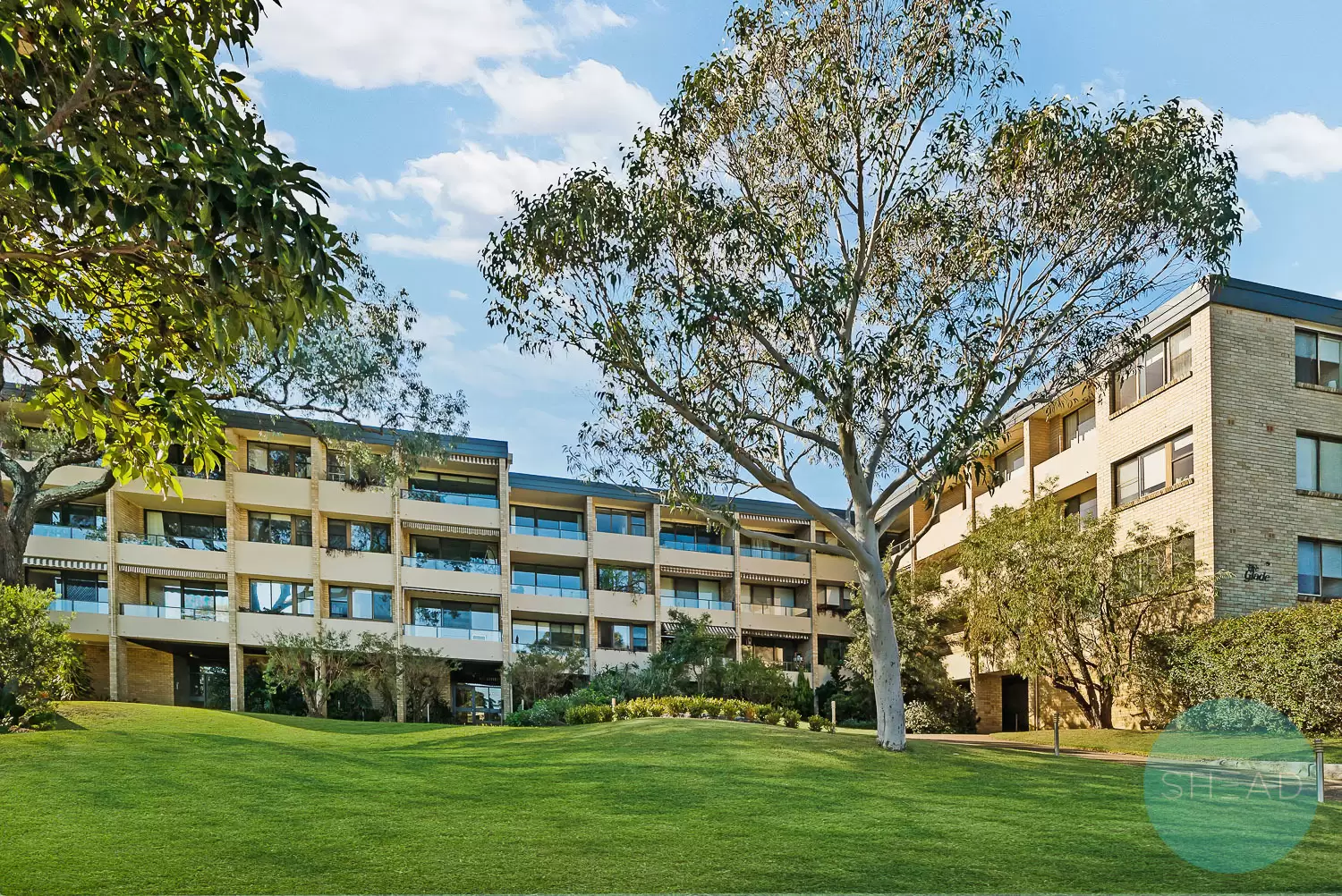 Wollstonecraft Leased by Shead Property - image 1