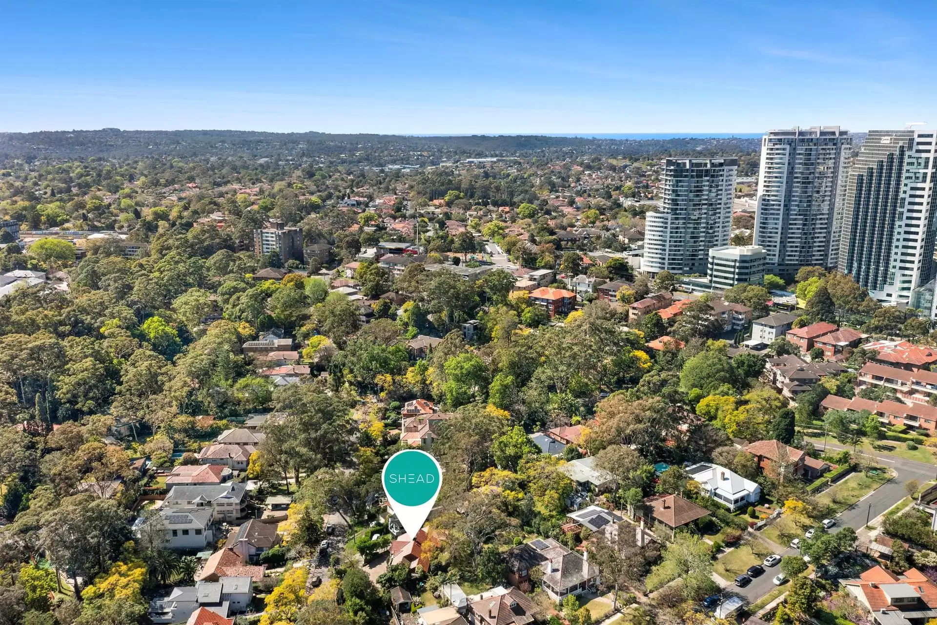 11 Anglo Street, Chatswood Sold by Shead Property - image 1