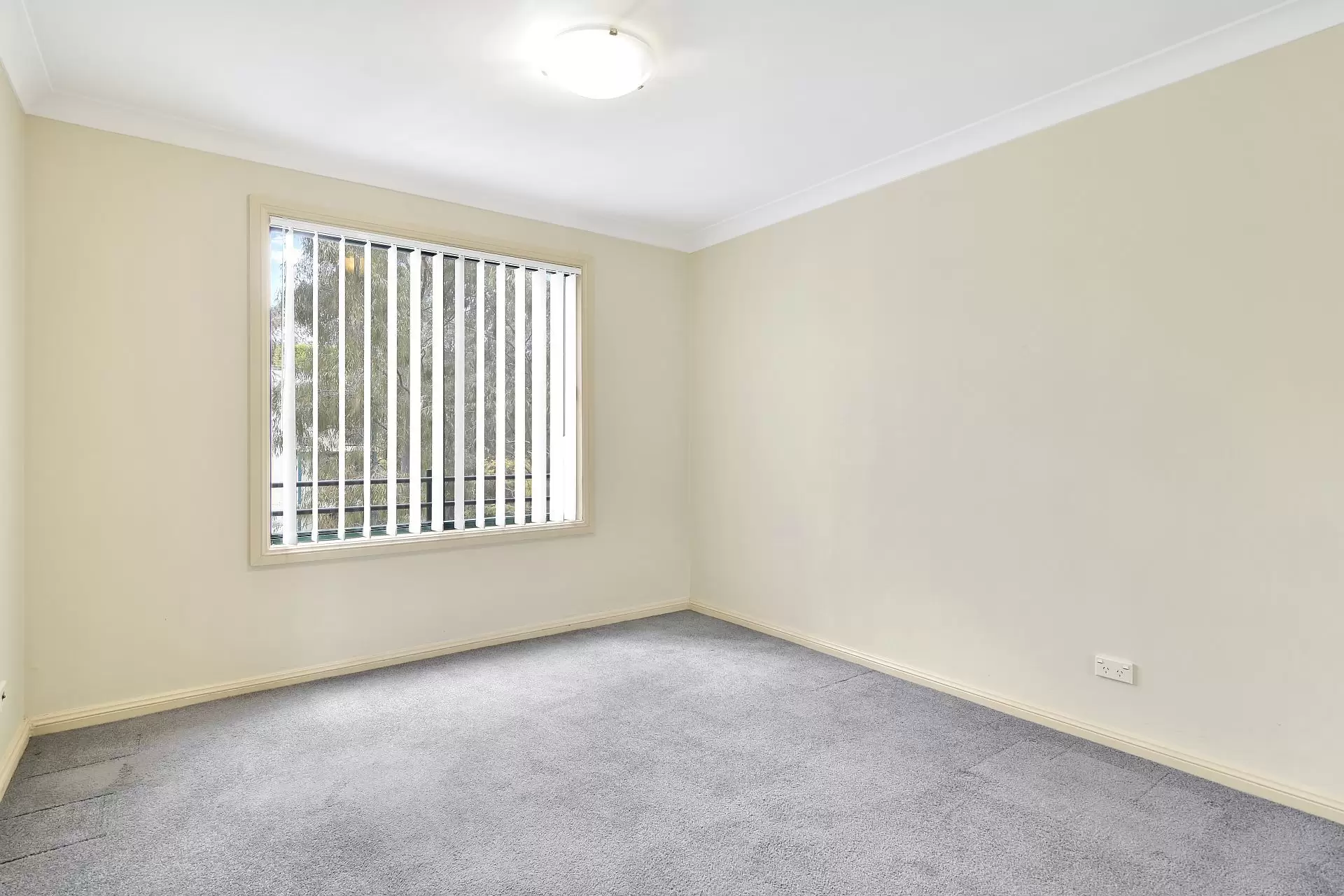 Chatswood Leased by Shead Property - image 1